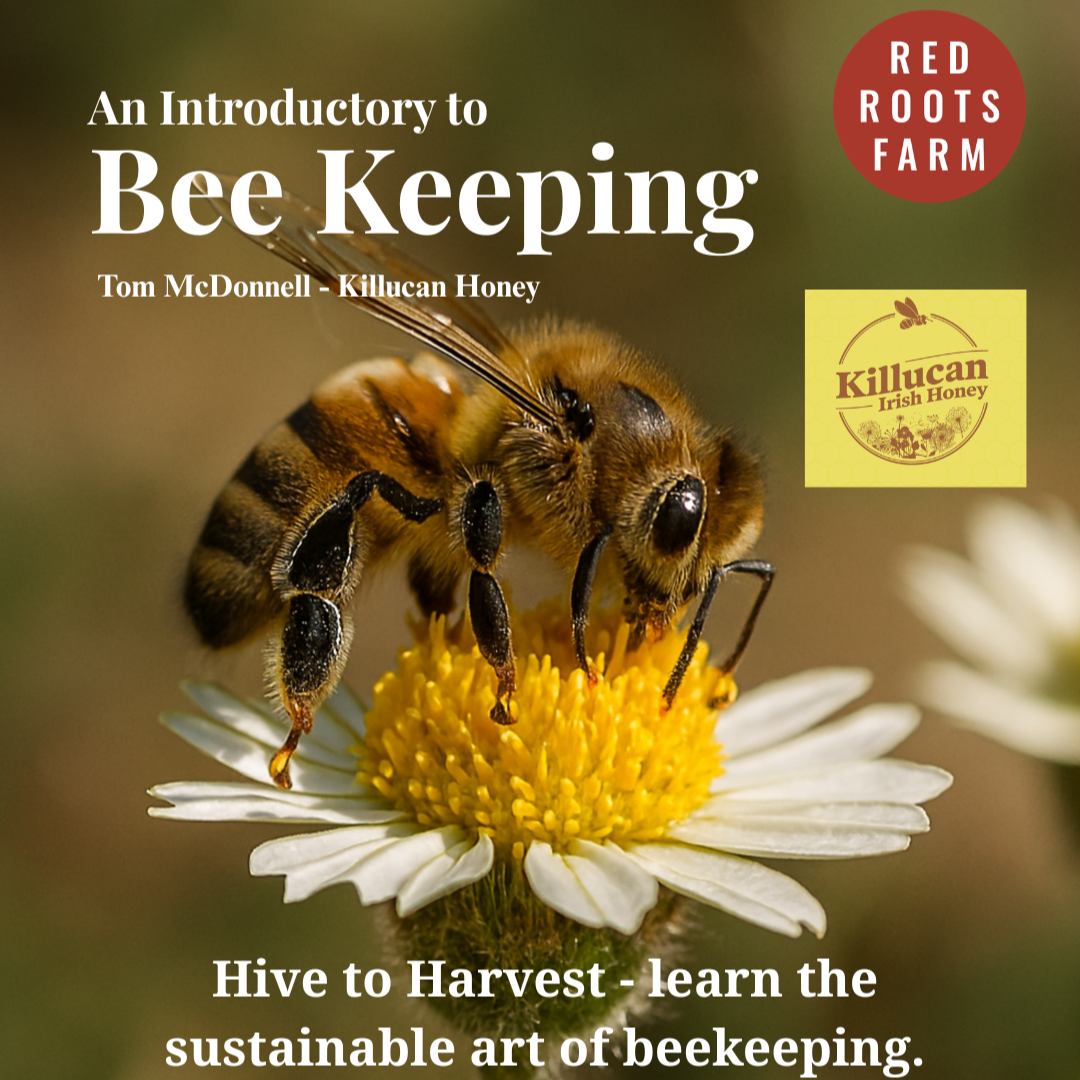 An Introductory to Bee Keeping.