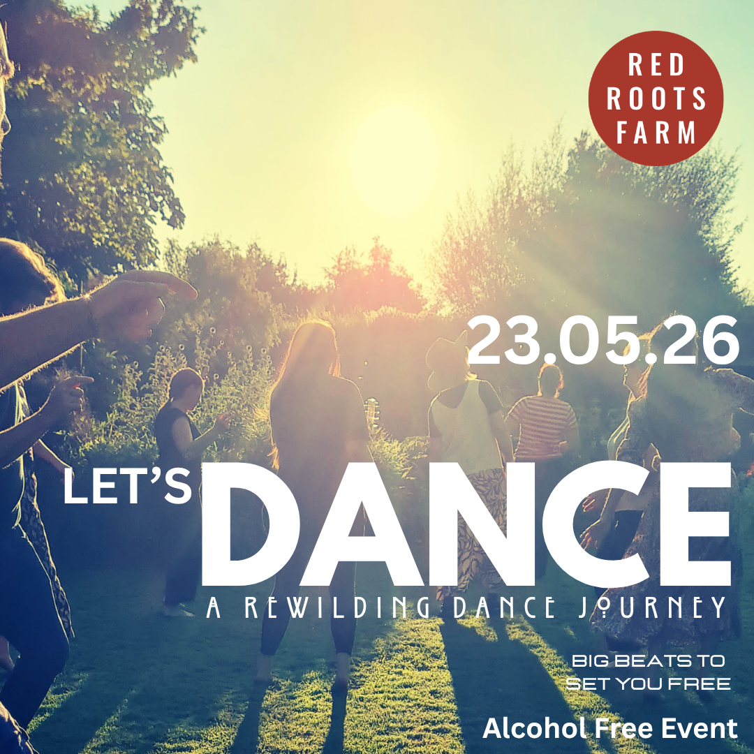 Let's DANCE
