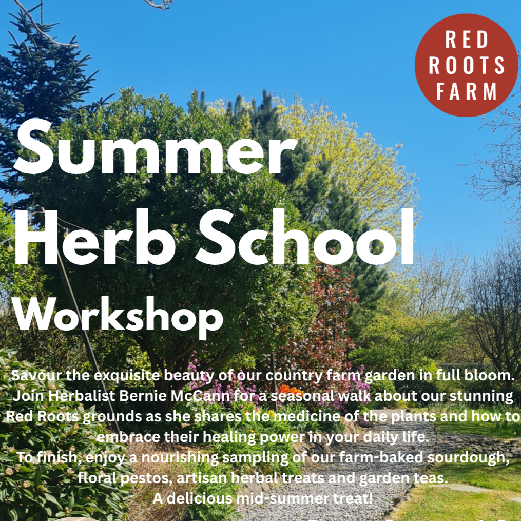 Summer Herbal Workshop