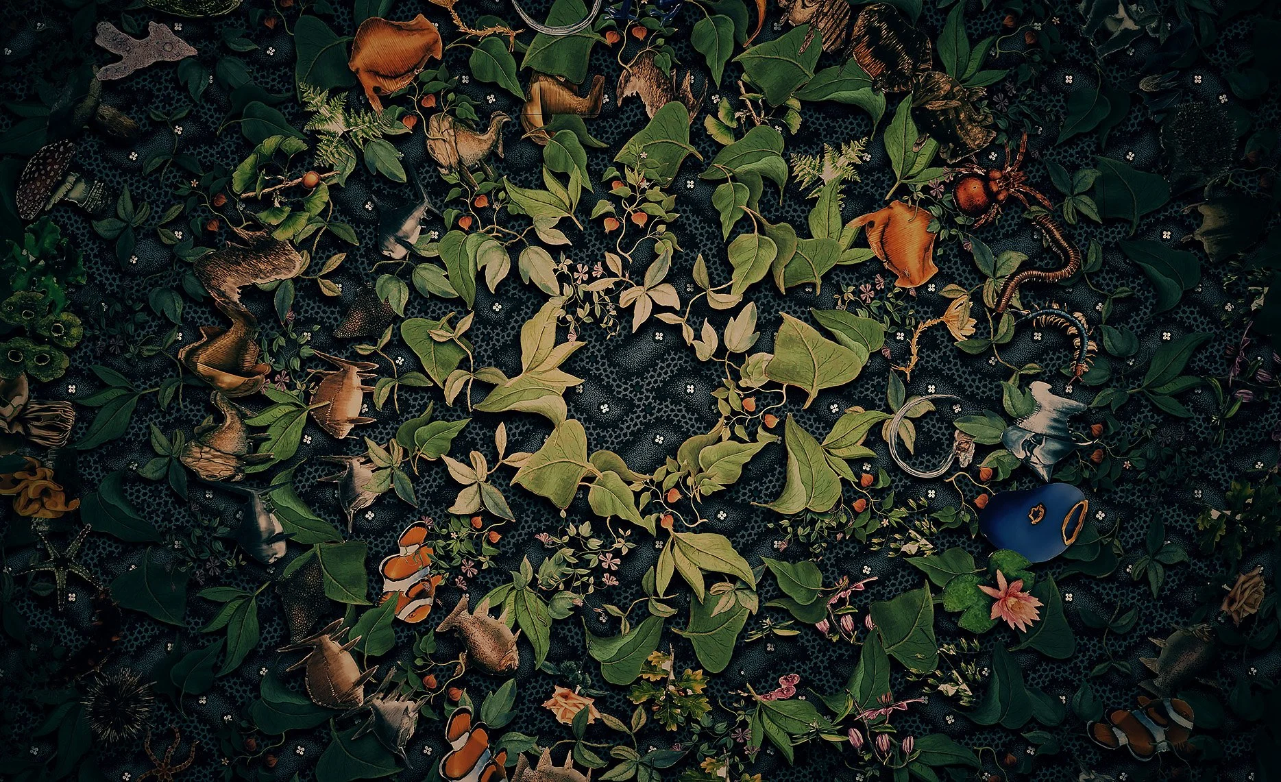 TreeofLife_LookDev_KaleidoBG_D_00000 copy.jpg