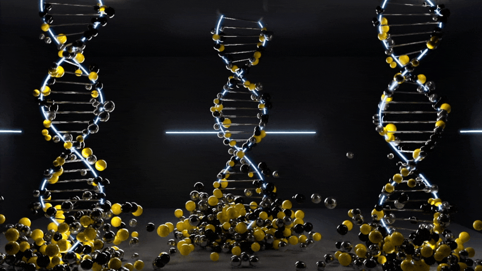 Multiple DNA helix models with black and yellow spheres, some falling or piled up.