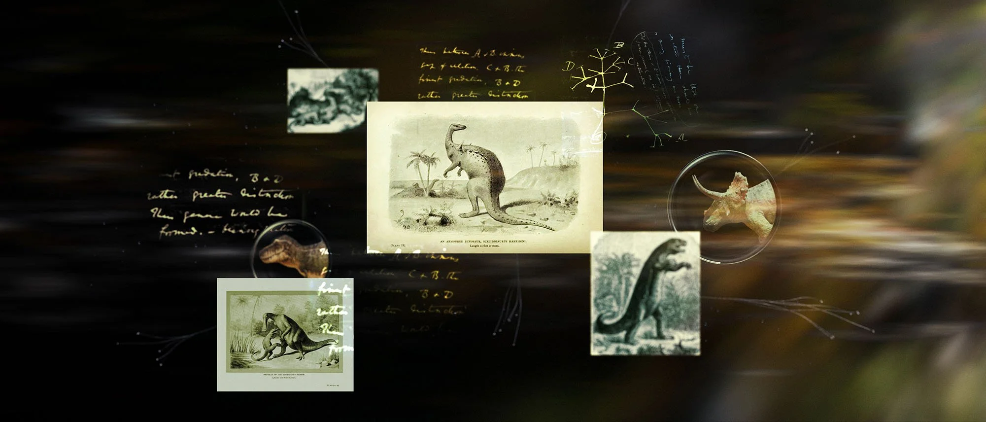 TreeofLife_LookDev_Archive_B_v003 copy.jpg