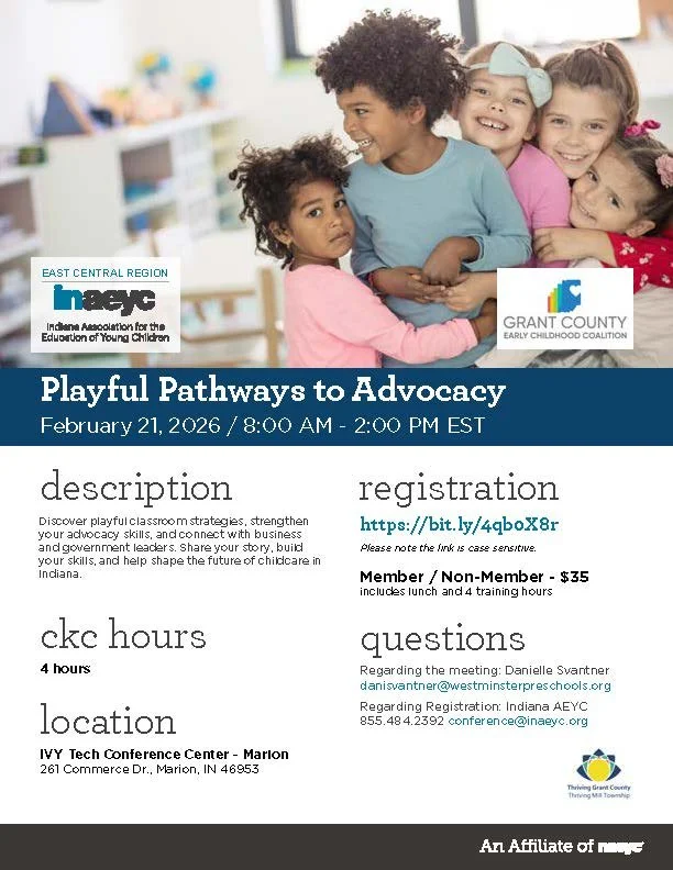 Playful Pathways to Advocacy