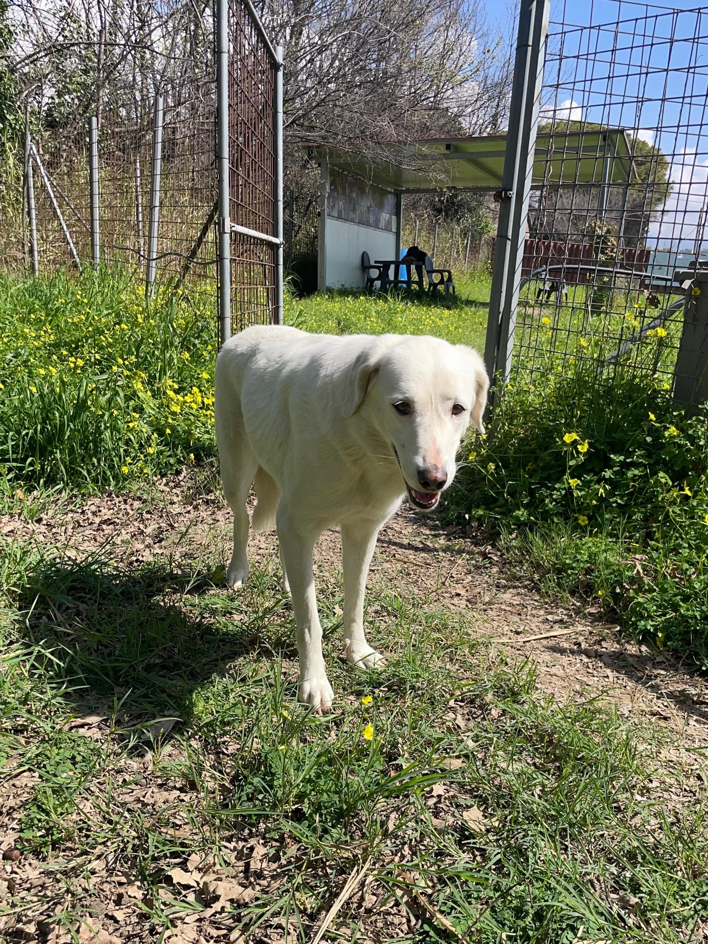 PHOTO-2026-03-15-19-10-45 3.jpg