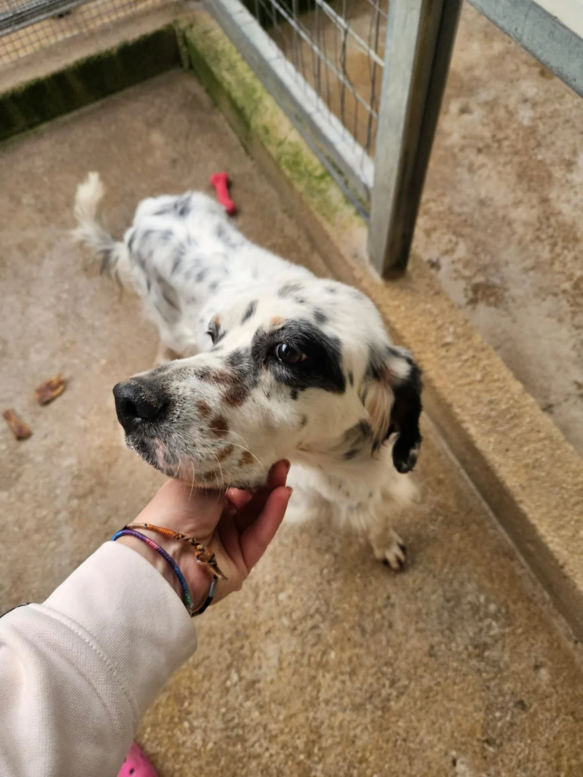 PHOTO-2025-12-15-14-01-16 7.jpg