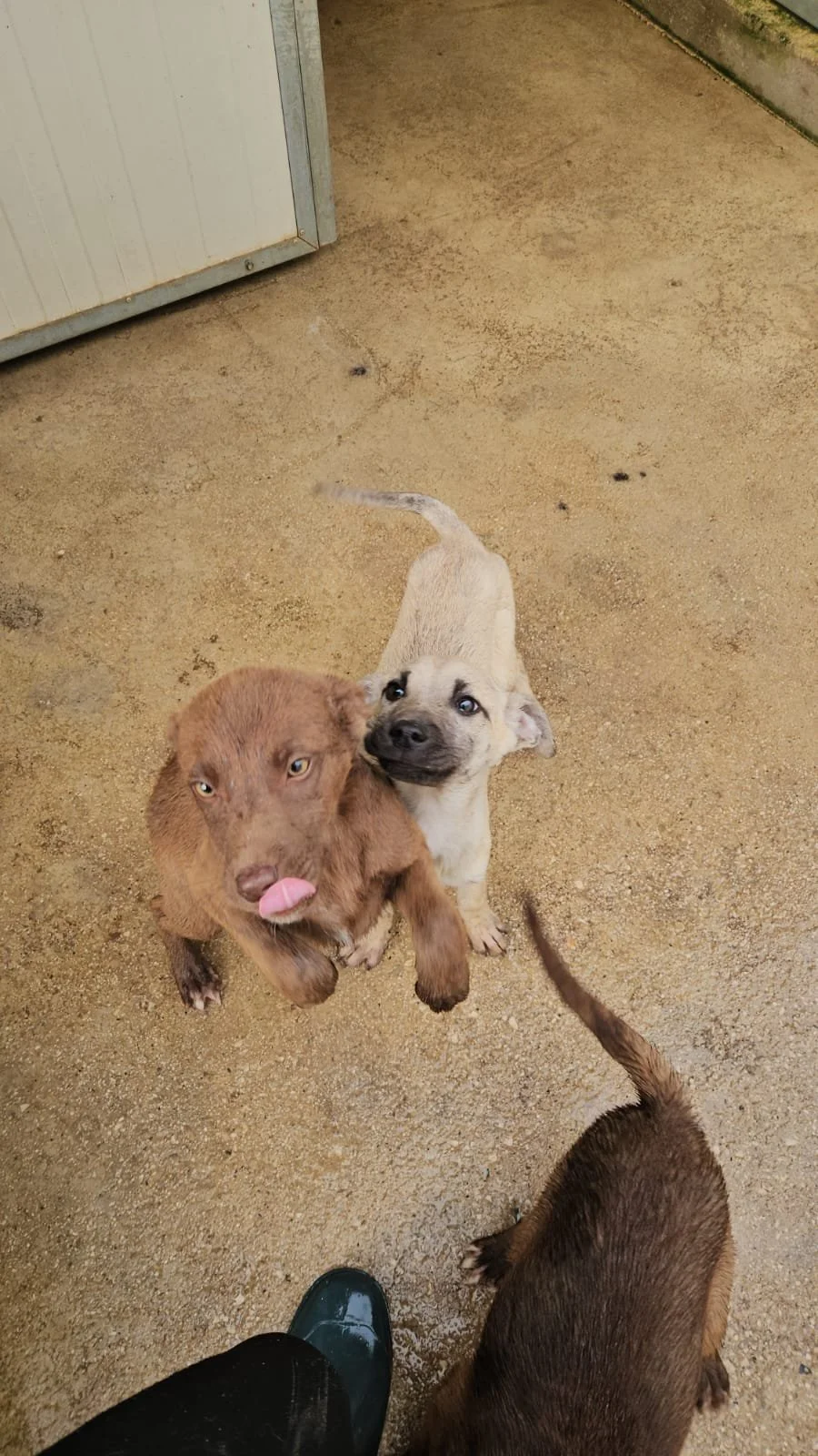 PHOTO-2026-04-09-09-42-44 3.jpg