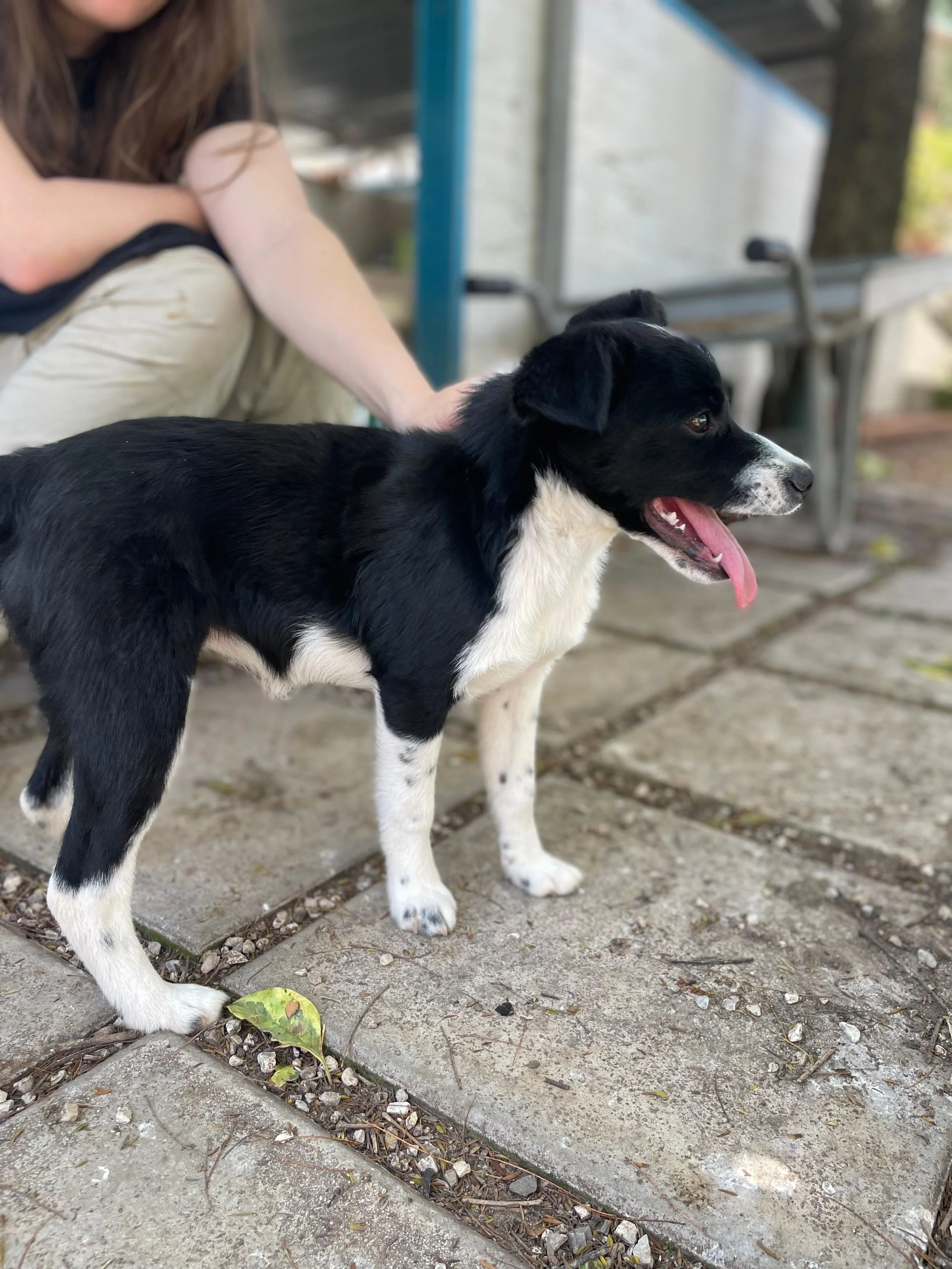 PHOTO-2026-03-11-14-45-37 3.jpg