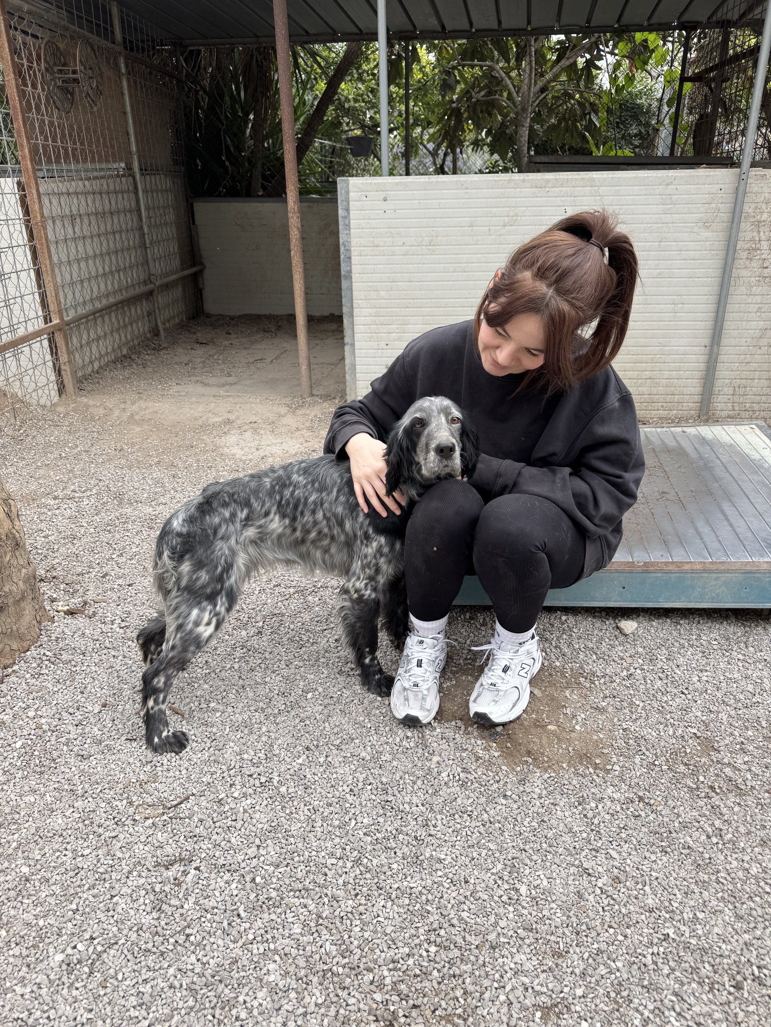 IMG_4282.jpeg