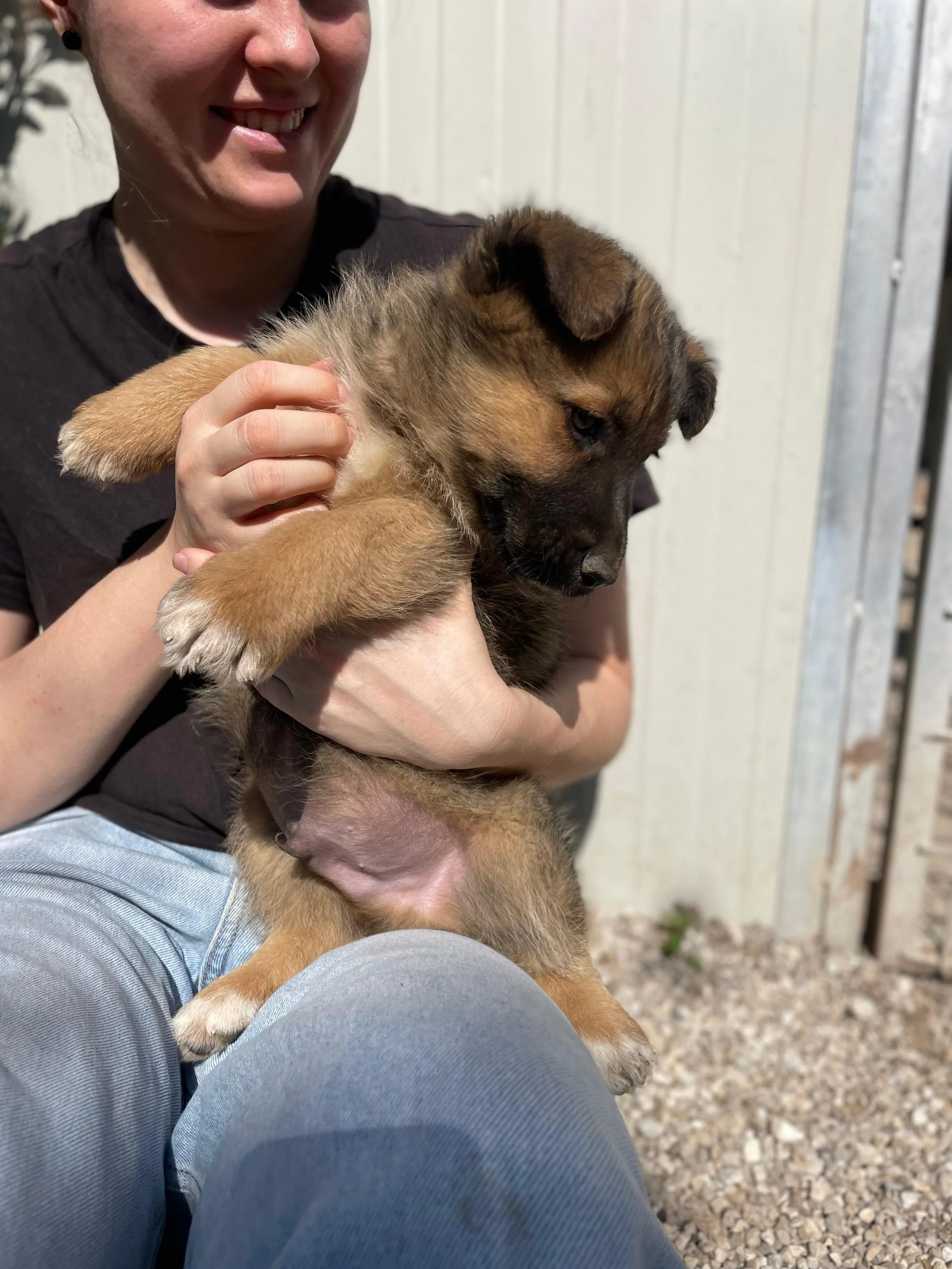 PHOTO-2026-03-11-14-15-27 4.jpg