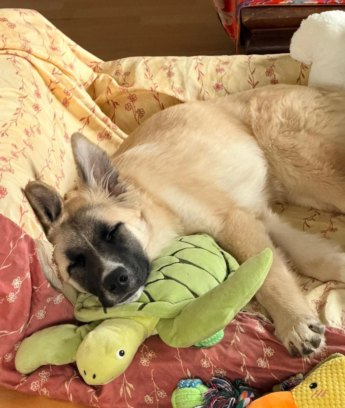 WhatsApp Image 2026-04-11 at 16.59.41 (2).jpeg