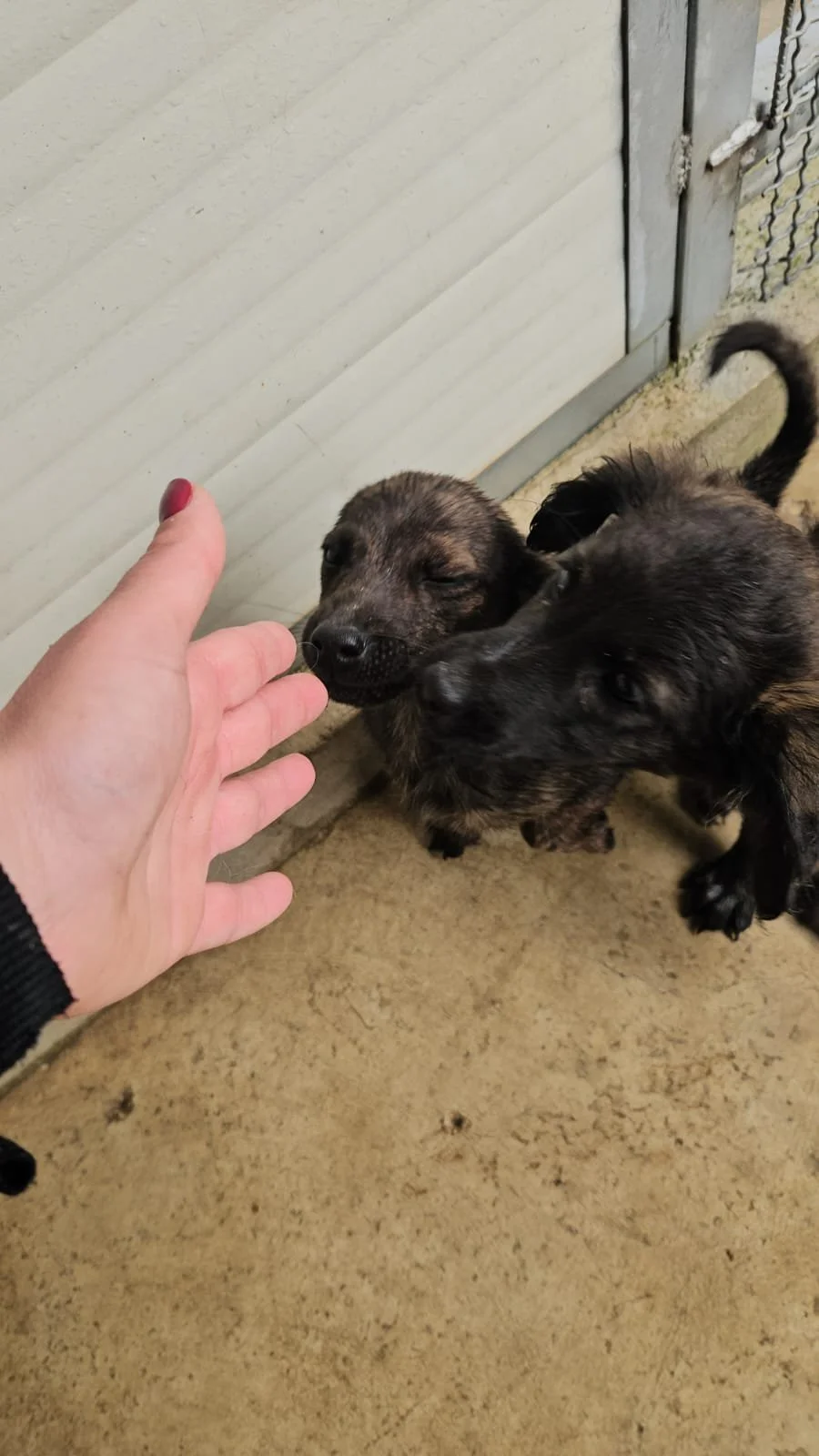 PHOTO-2026-04-09-09-38-02 2.jpg