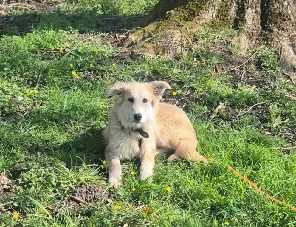 PHOTO-2026-03-24-22-11-55 2.jpg