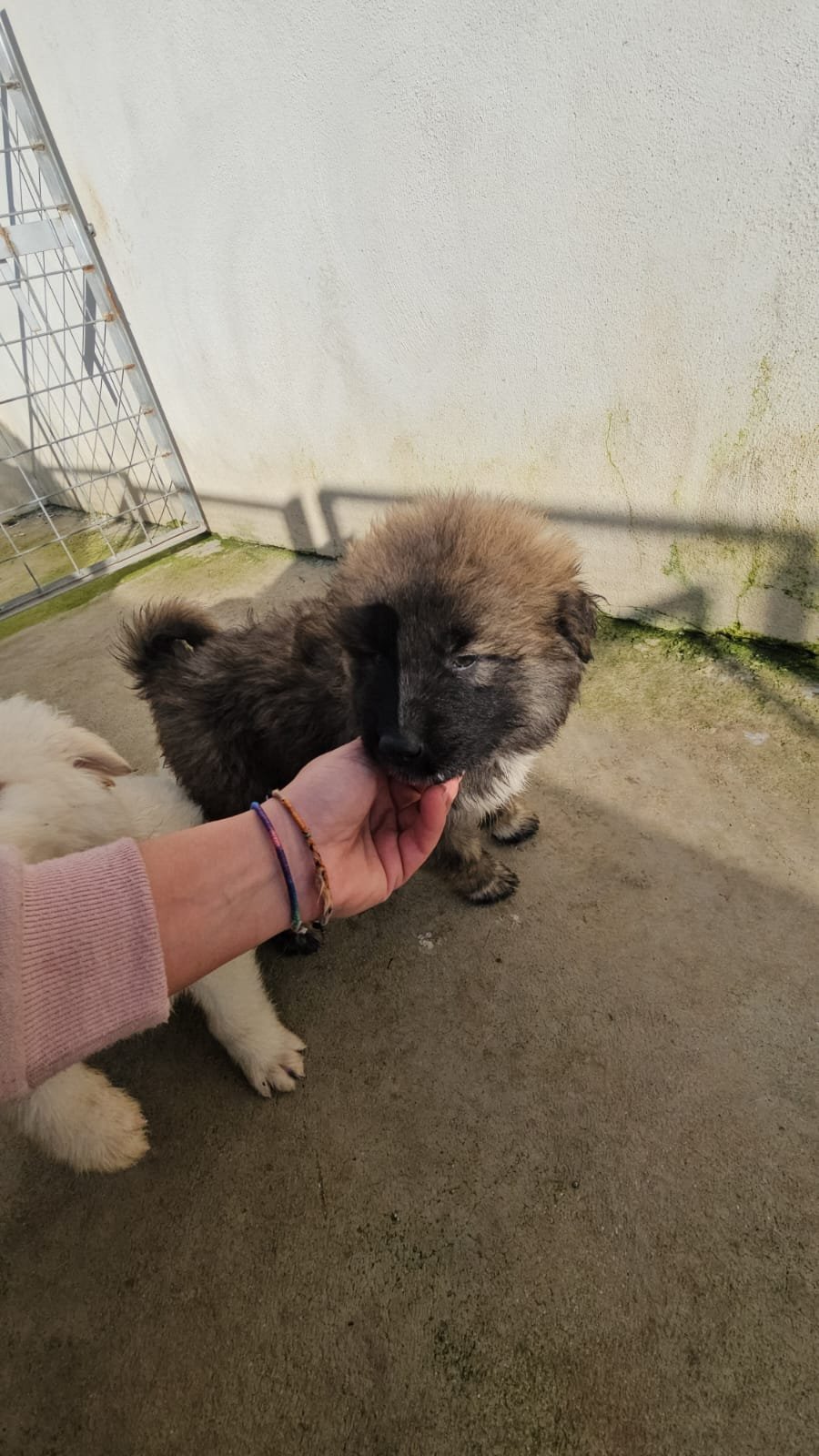 PHOTO-2025-12-10-12-23-18 2.jpg