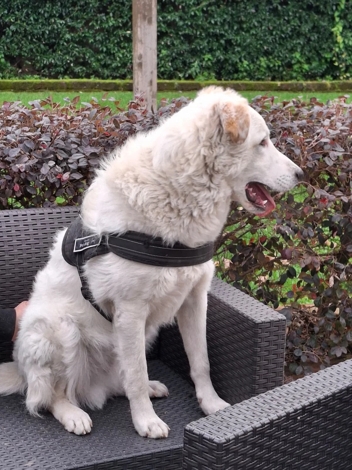 PHOTO-2026-01-07-15-24-11 7.jpg