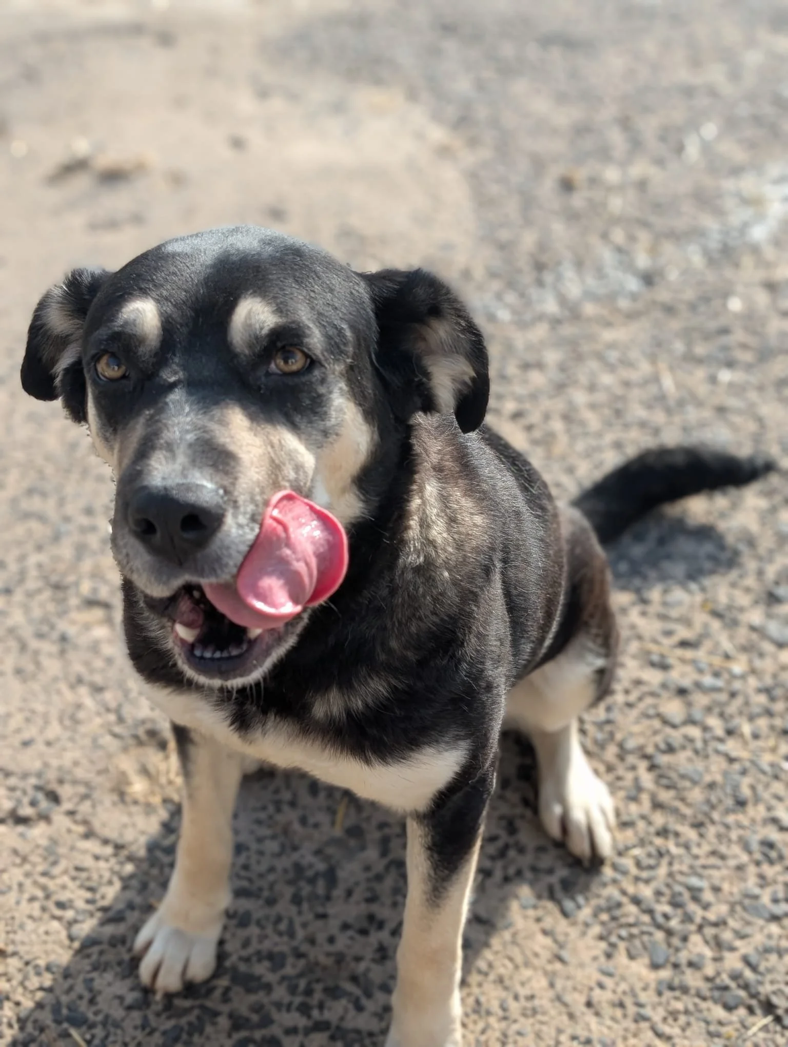 PHOTO-2026-04-14-09-43-37 2.jpg