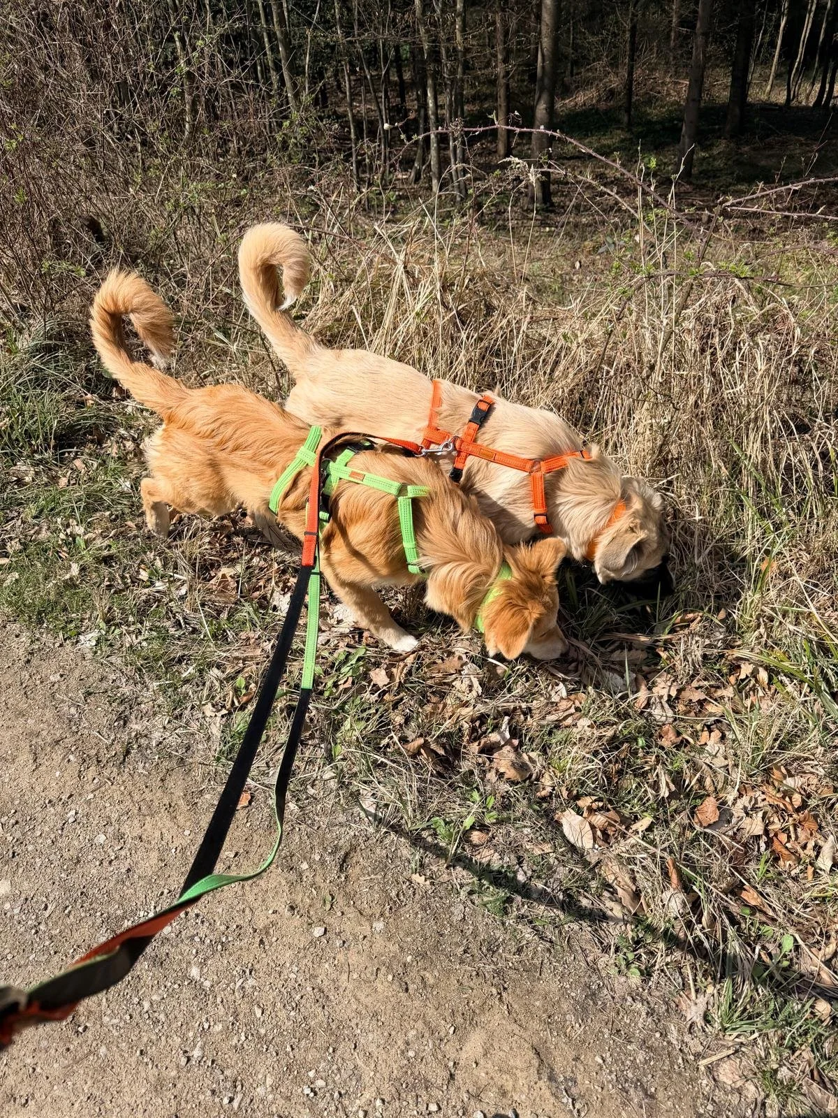 WhatsApp Image 2026-04-11 at 15.19.23 (1).jpeg