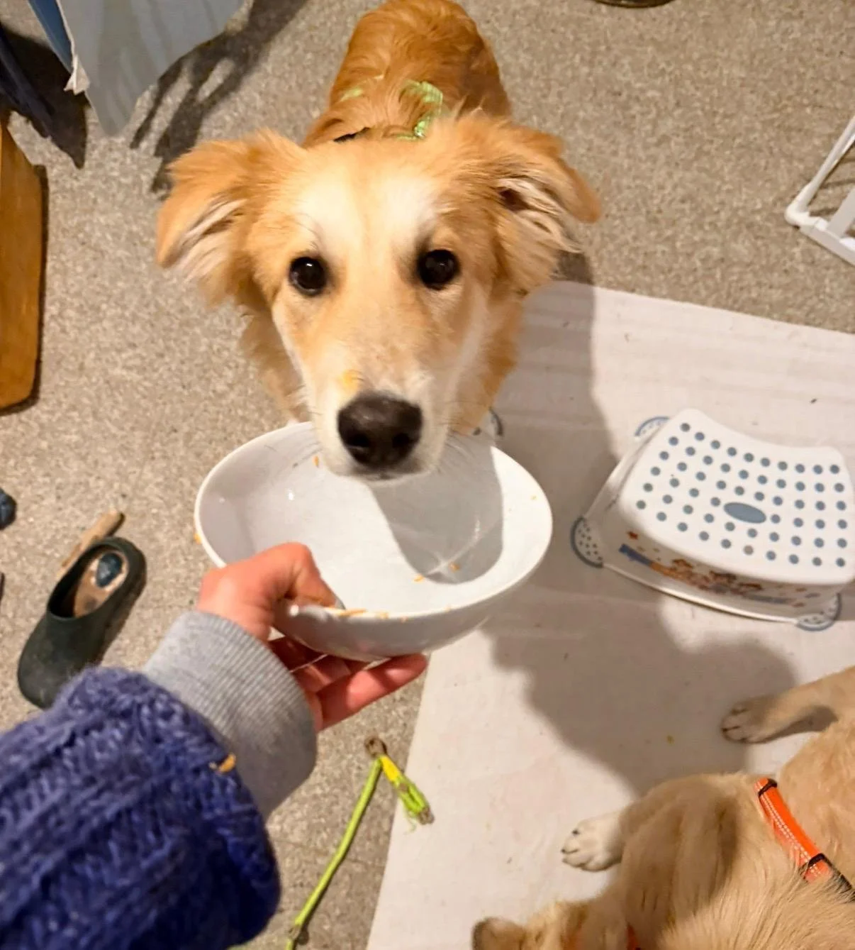 WhatsApp Image 2026-04-11 at 15.19.27 (2).jpeg