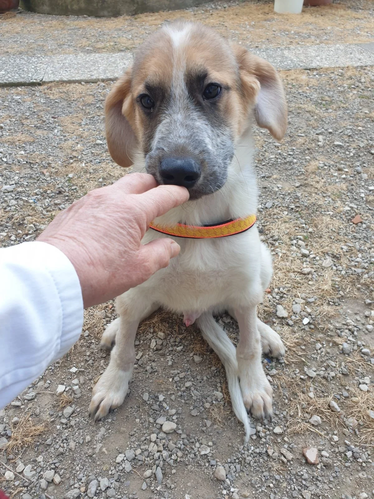 PHOTO-2026-04-27-20-20-57 5.jpg