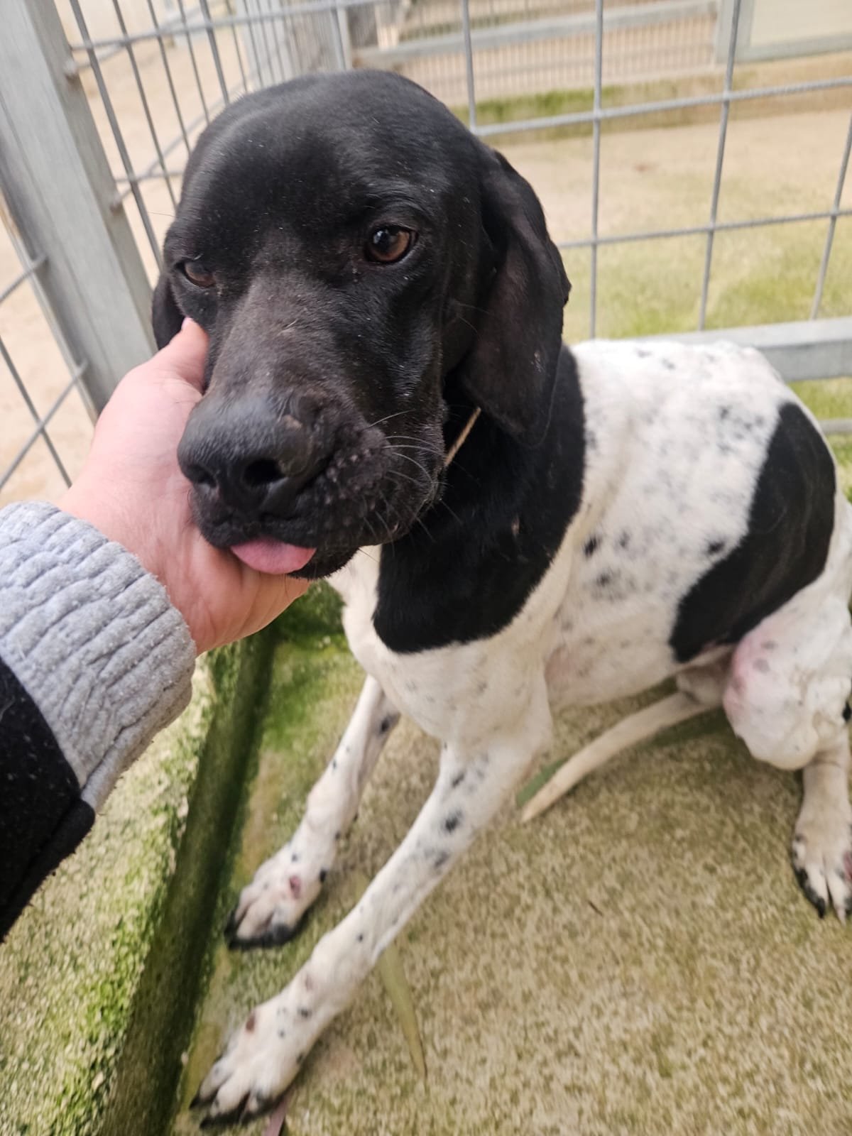 PHOTO-2026-01-28-10-42-24 3.jpg