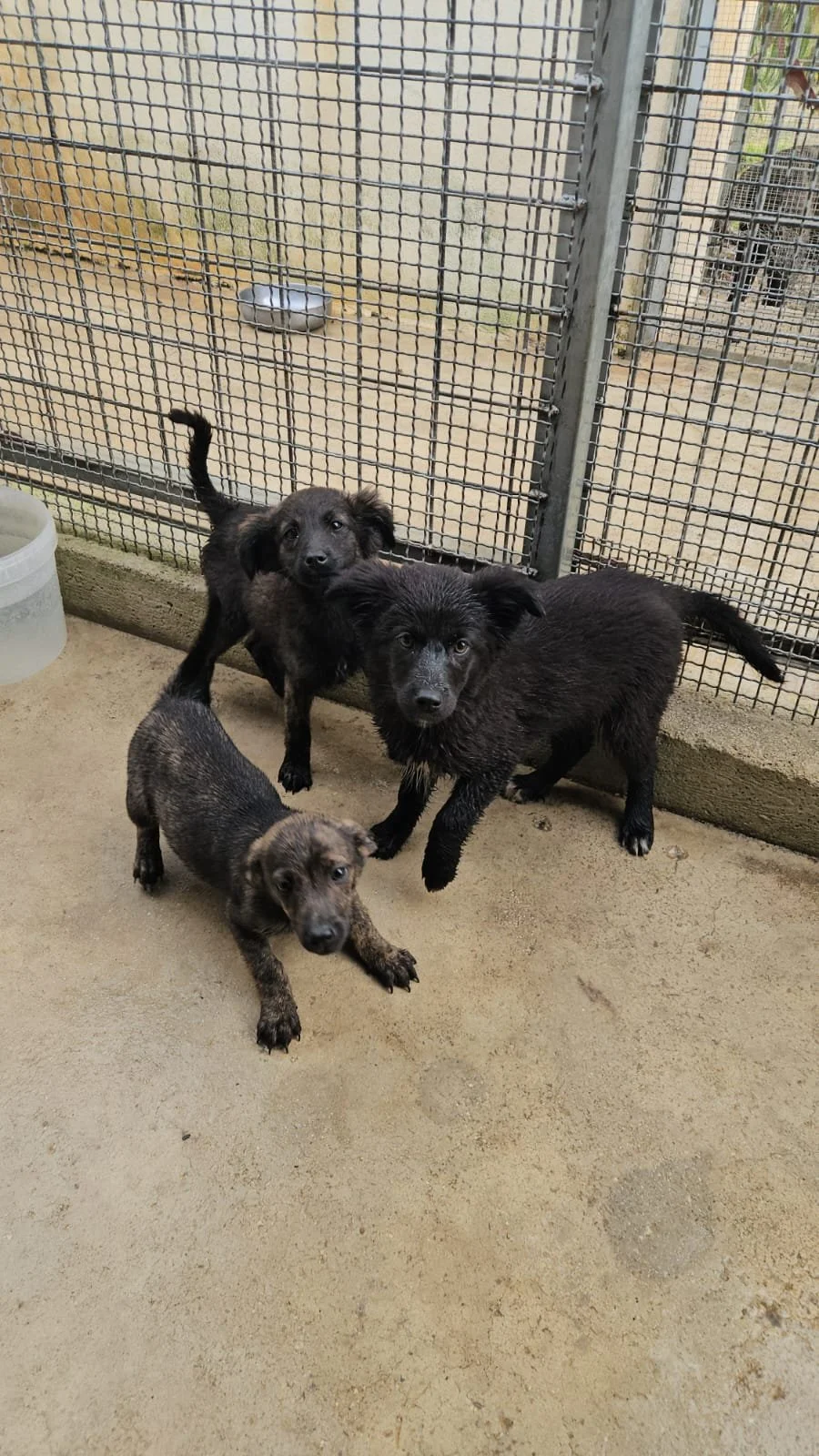 PHOTO-2026-04-09-09-38-11 3.jpg