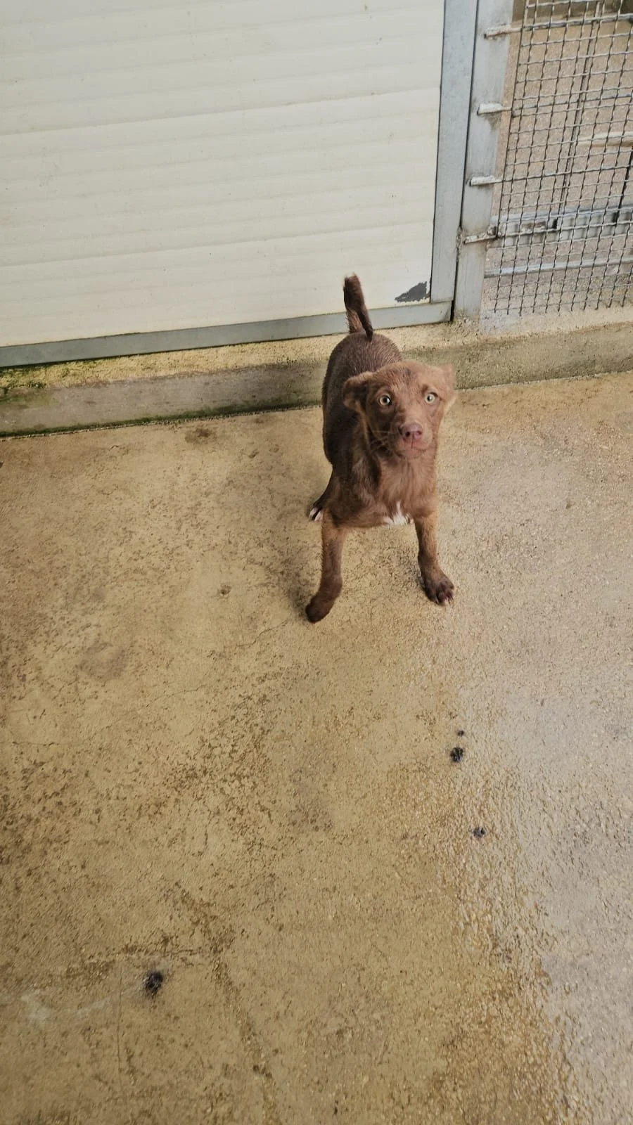 PHOTO-2026-04-09-09-44-52 3.jpg