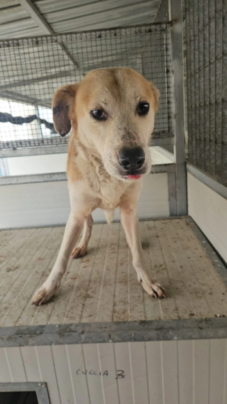 PHOTO-2026-01-22-10-13-43 4.jpg