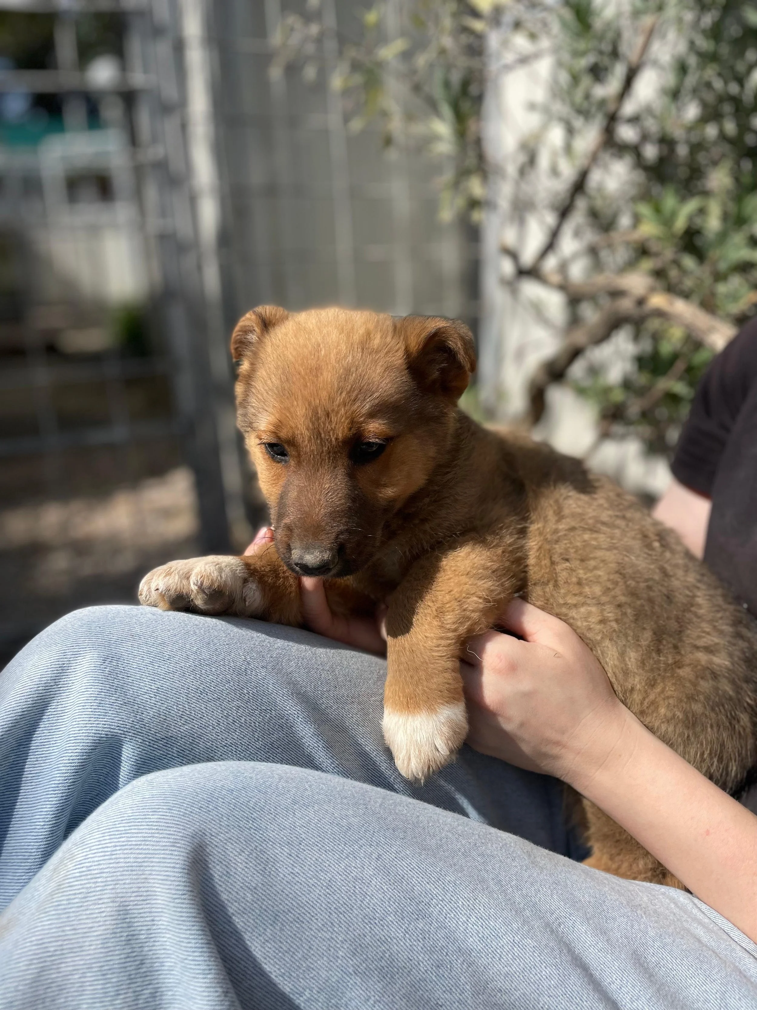 PHOTO-2026-03-11-14-15-59 2.jpg