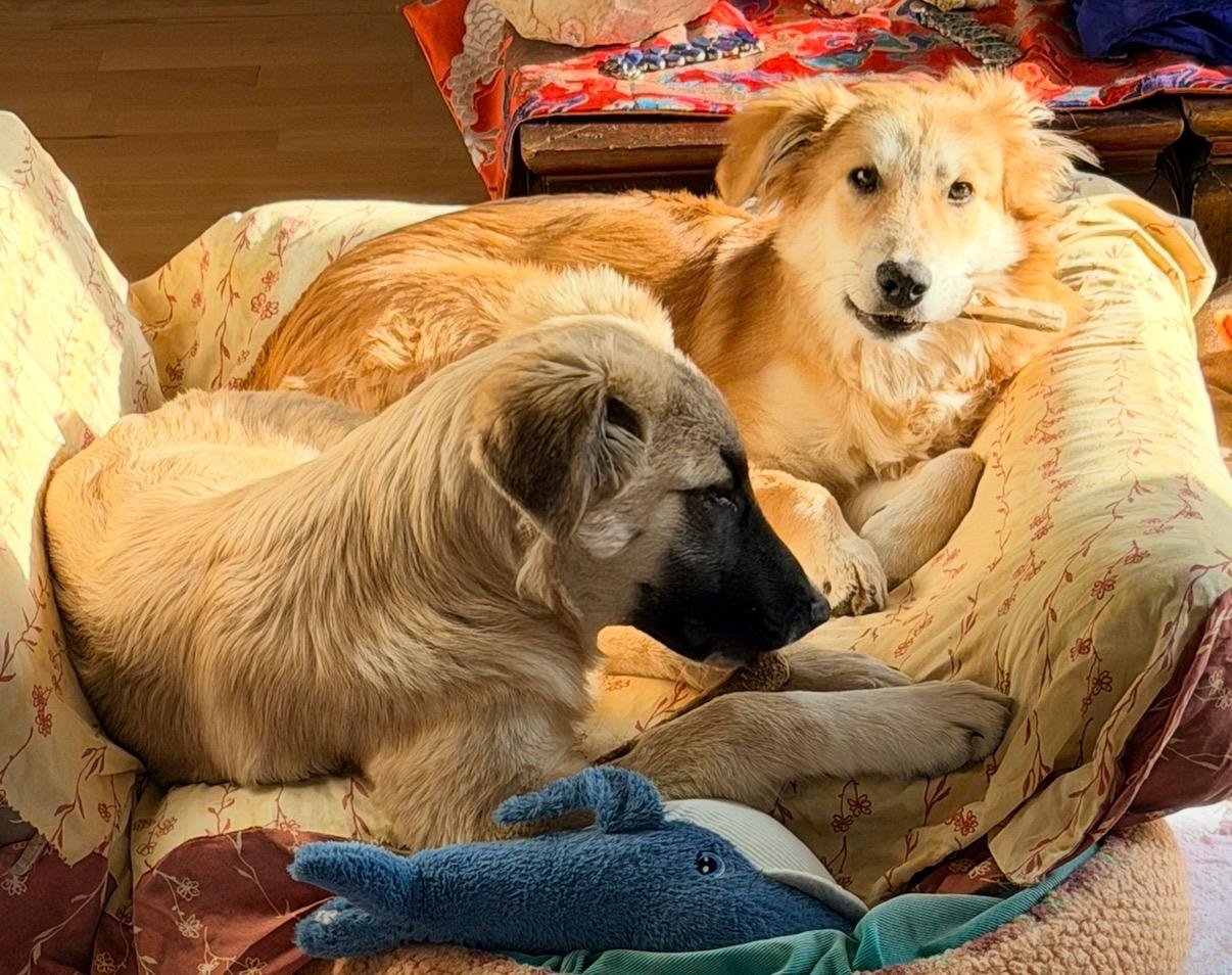 WhatsApp Image 2026-04-11 at 15.19.27.jpeg