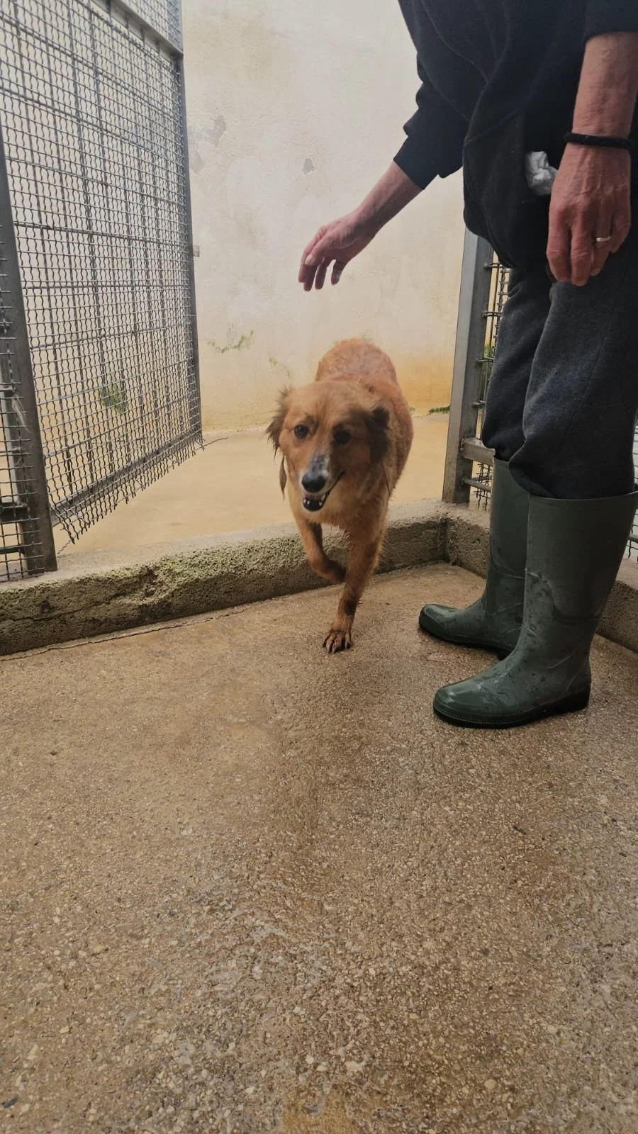 PHOTO-2026-04-14-08-29-15 2.jpg