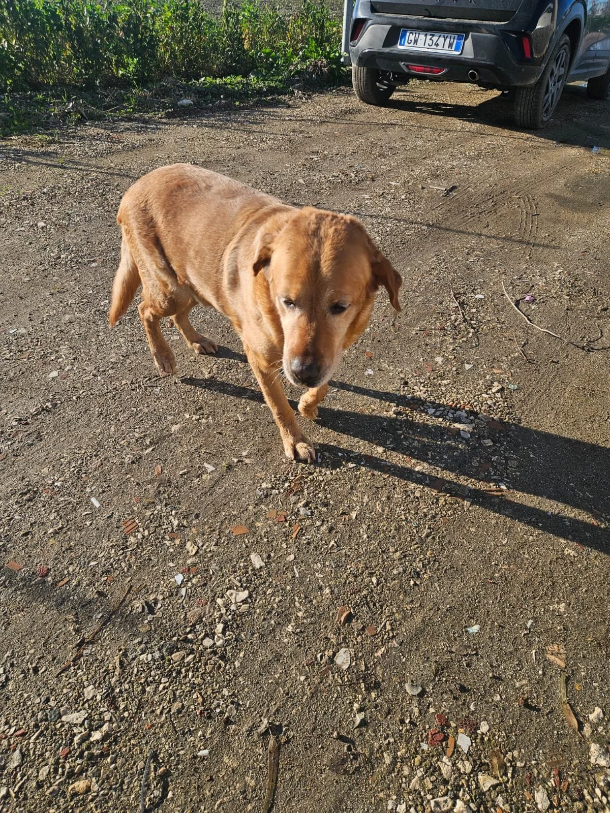 PHOTO-2026-02-03-11-53-52 5.jpg