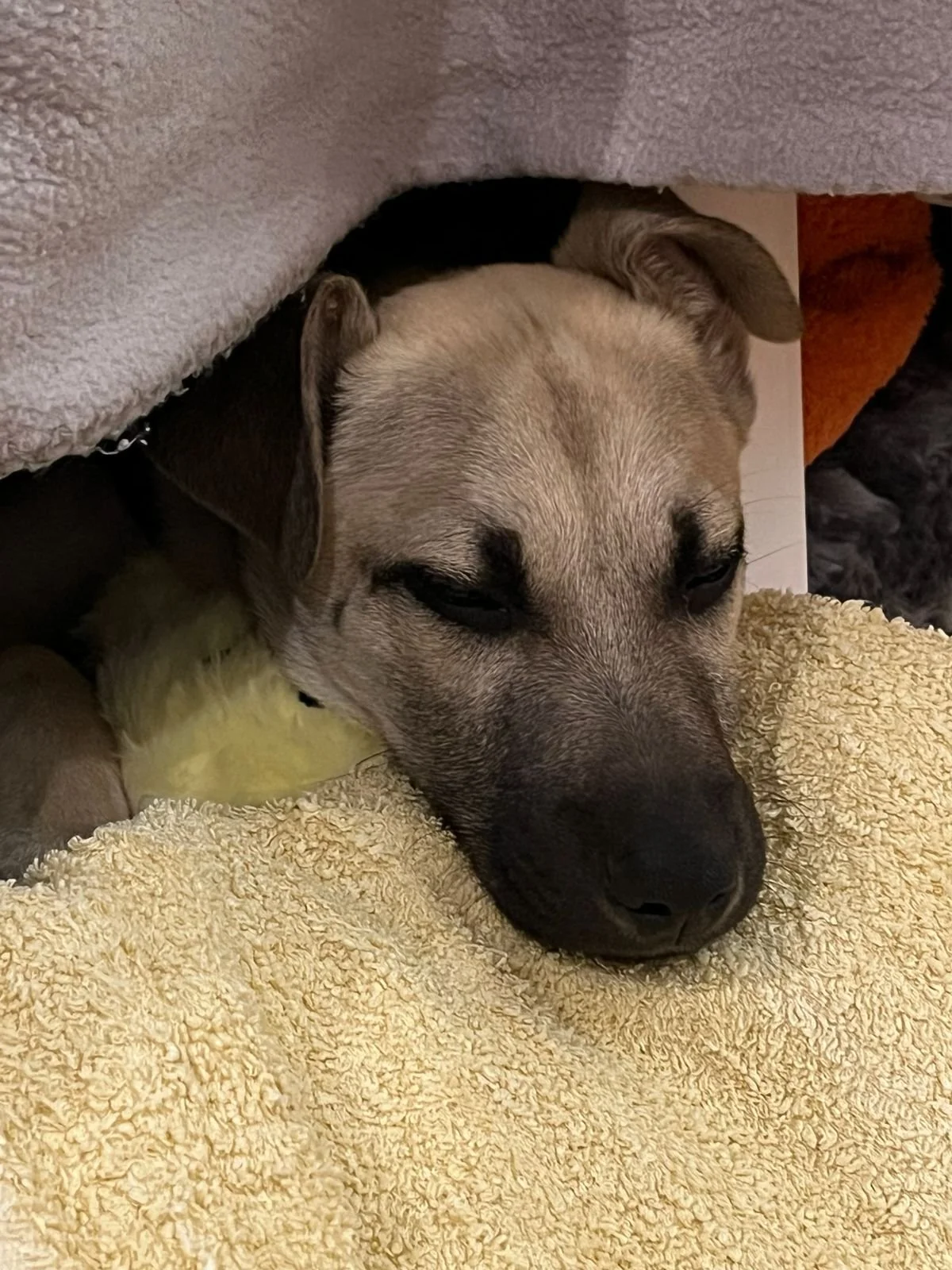 PHOTO-2026-04-27-15-36-32 2.jpg