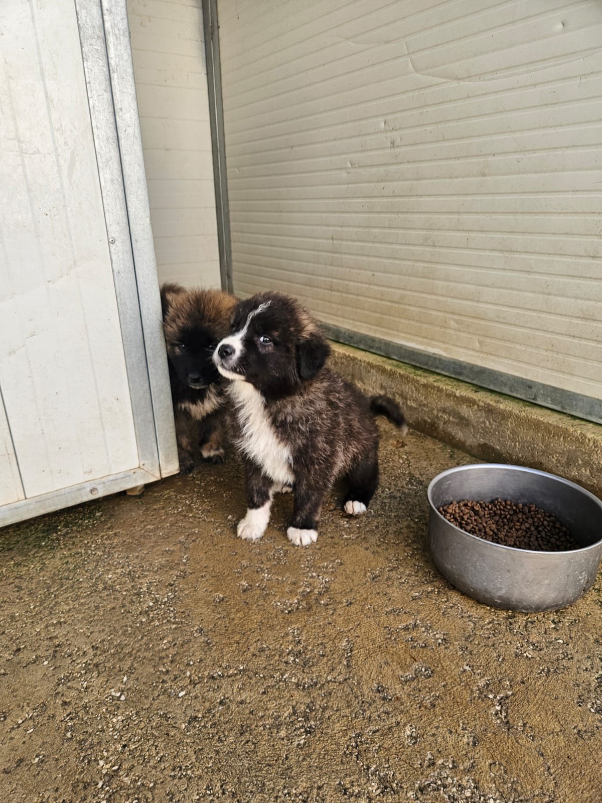 PHOTO-2025-12-10-12-24-10 2.jpg