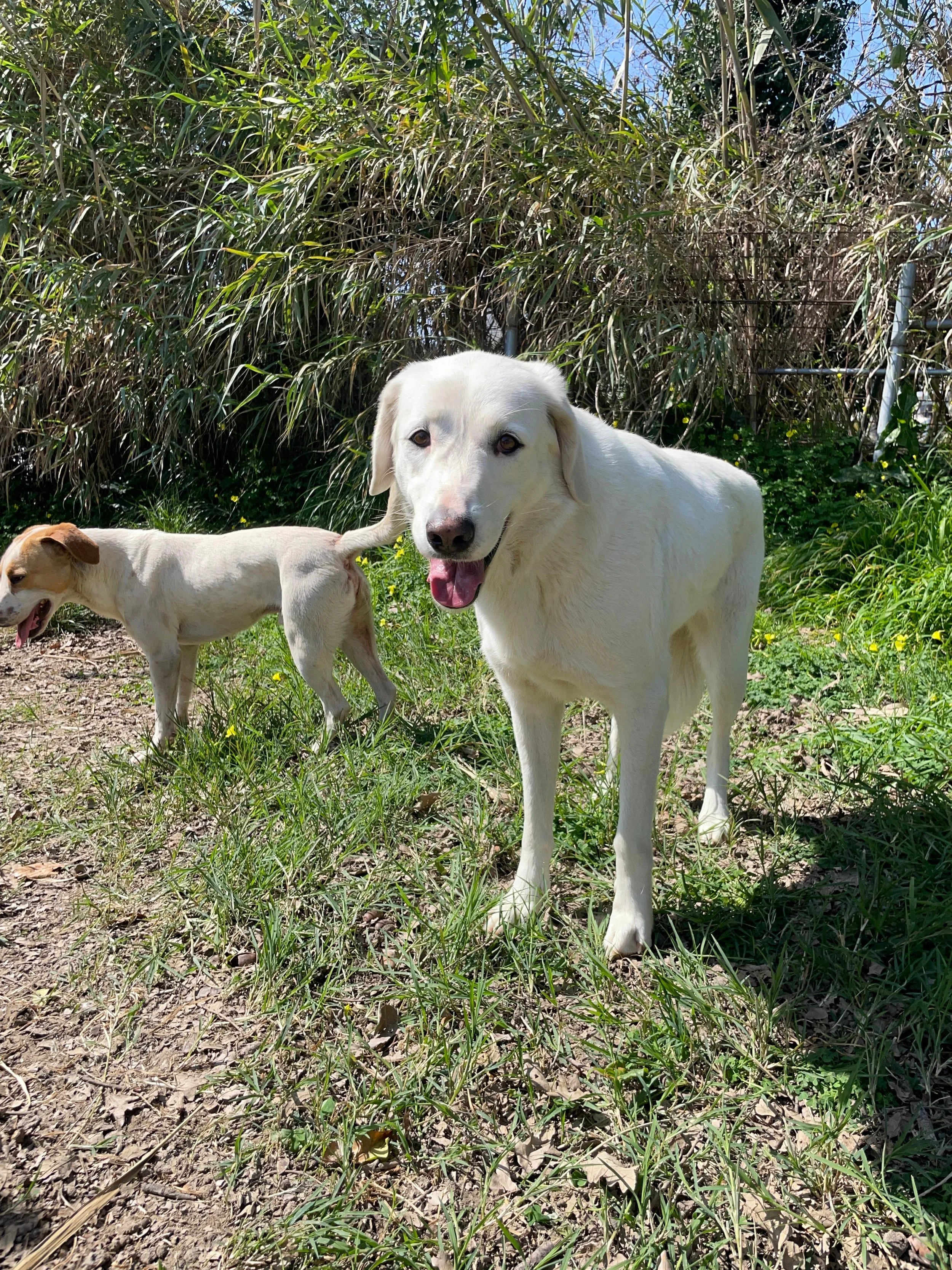 PHOTO-2026-03-15-19-10-45 4.jpg