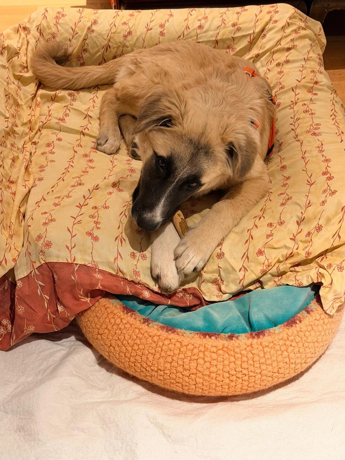 WhatsApp Image 2026-04-11 at 16.59.41.jpeg