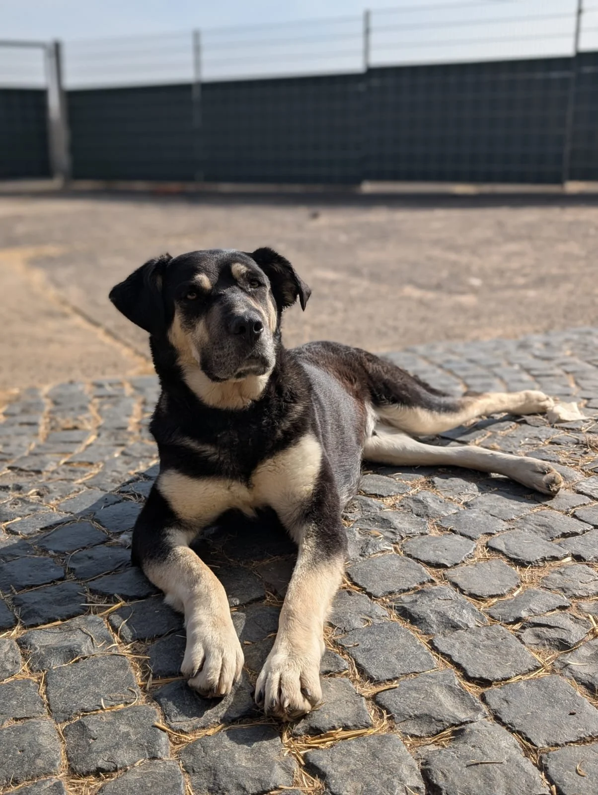 PHOTO-2026-04-14-09-43-38 2.jpg