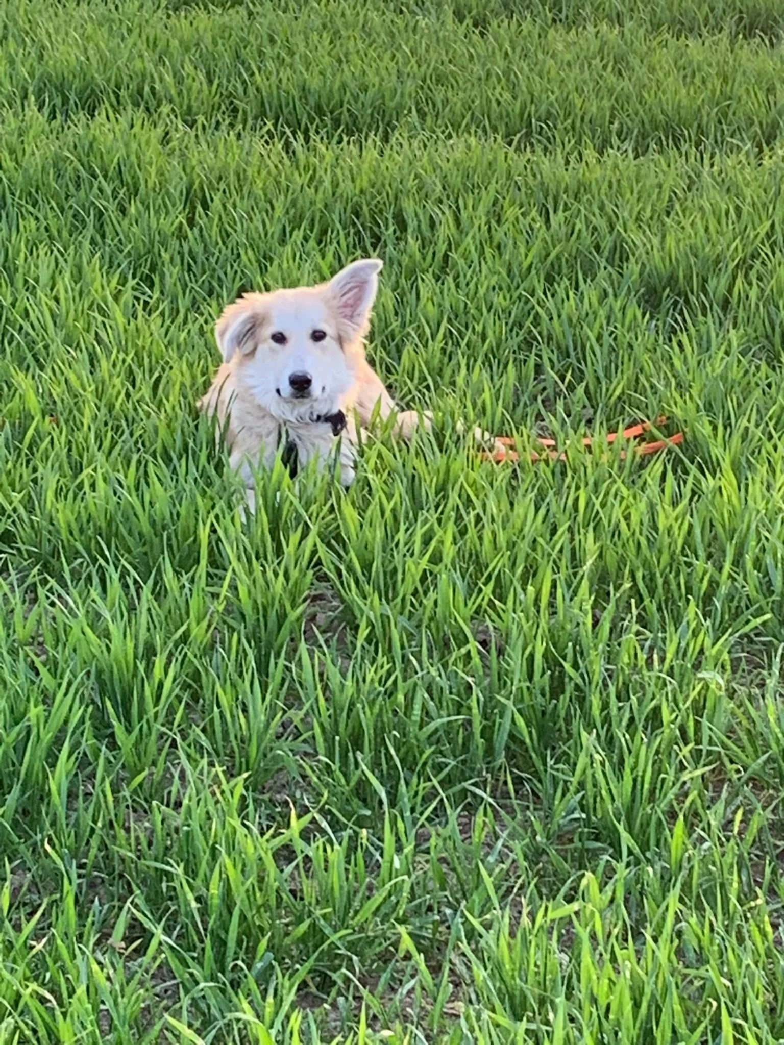 PHOTO-2026-03-24-22-11-55 4.jpg