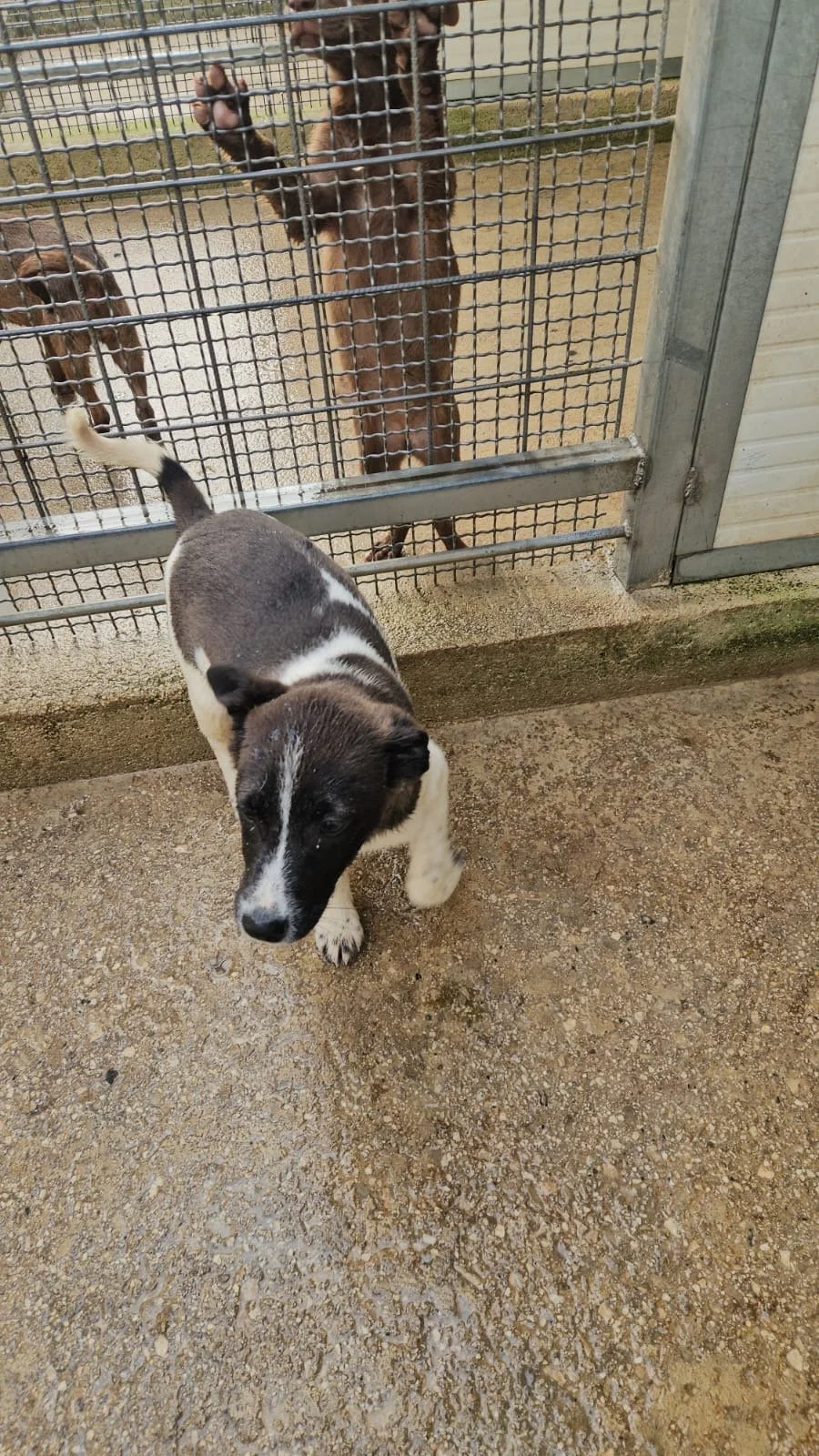 PHOTO-2026-04-09-09-34-31 2.jpg