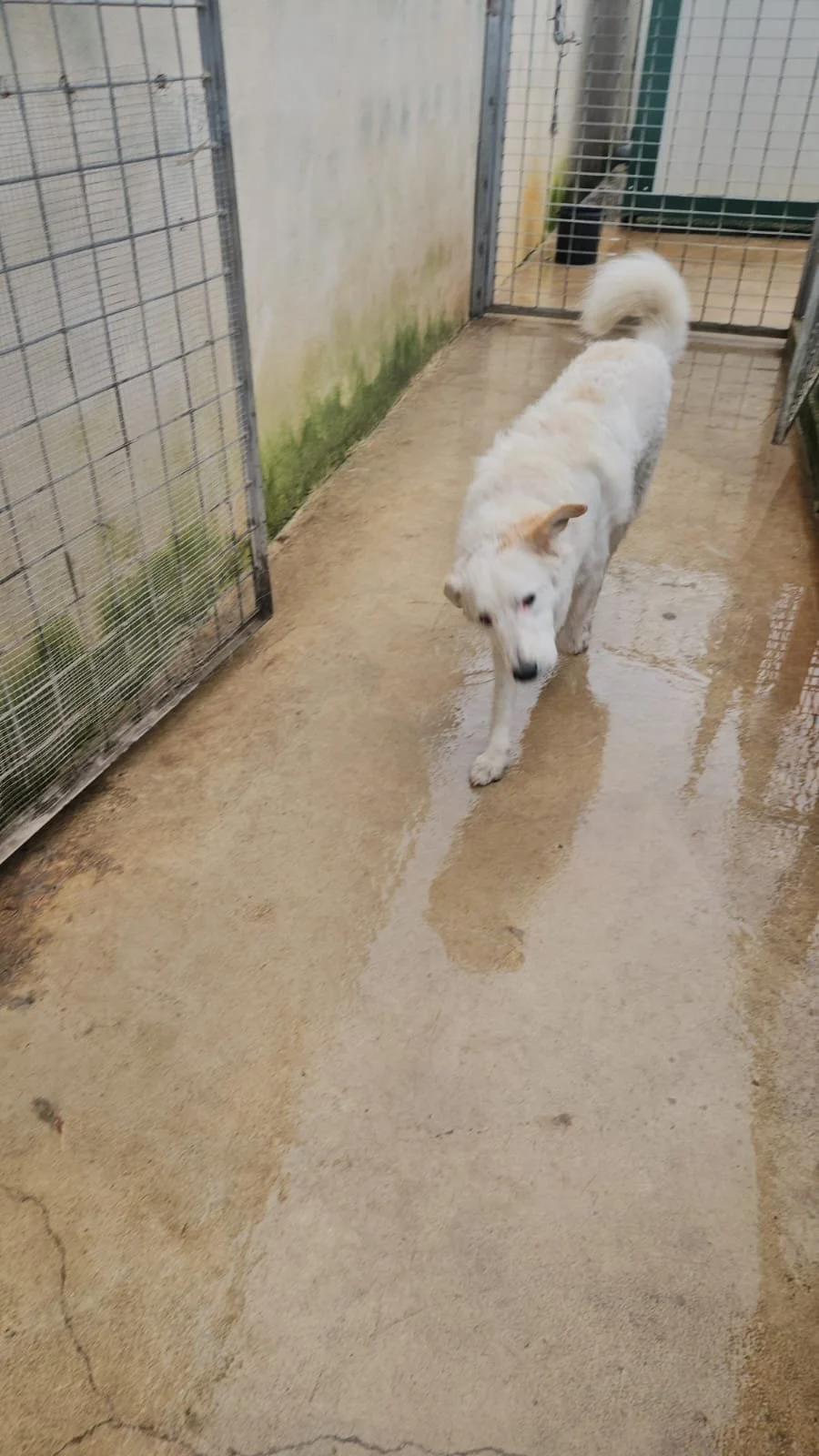 PHOTO-2026-01-07-15-24-12 5.jpg