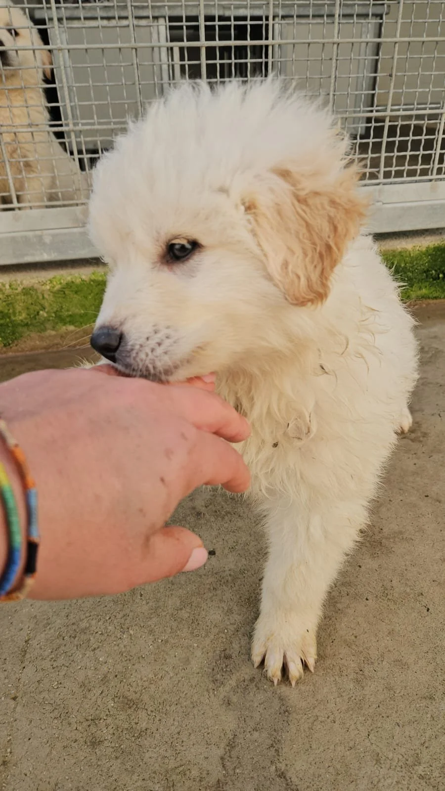 PHOTO-2025-12-10-12-27-10 3.jpg