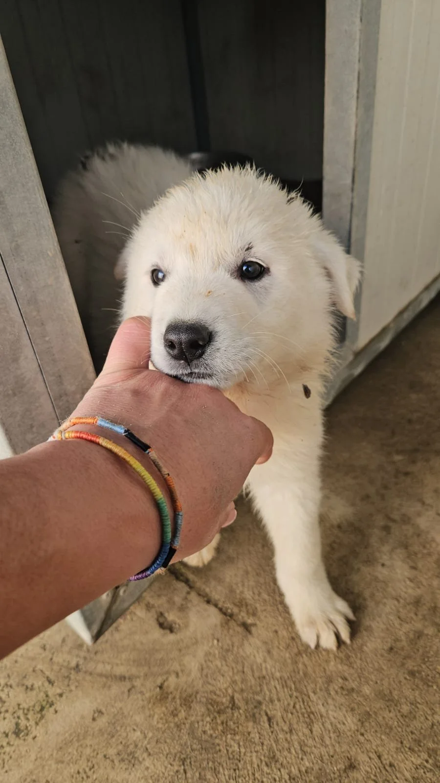 PHOTO-2025-12-10-12-30-48 3.jpg