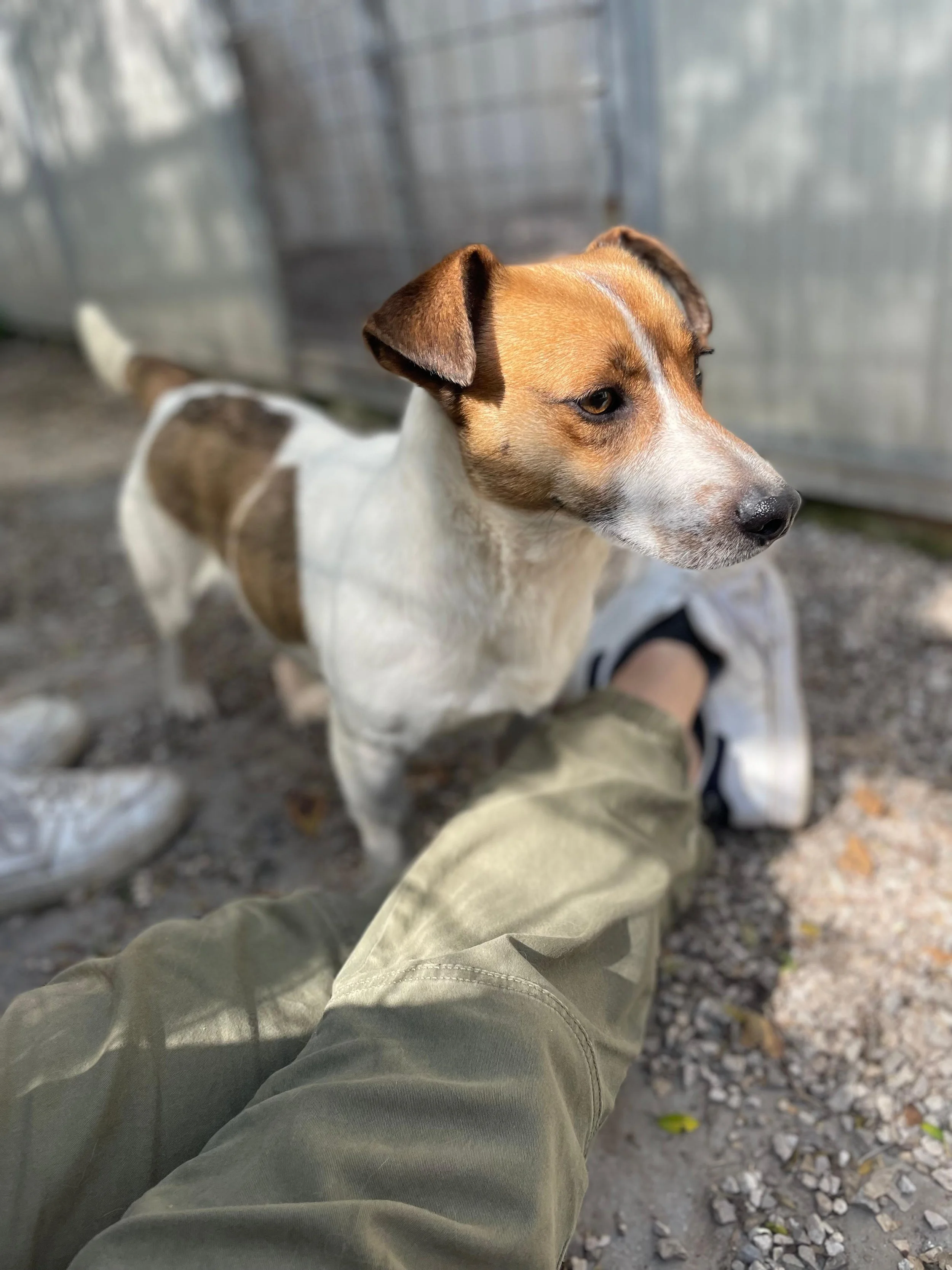 PHOTO-2026-03-11-14-26-18 (1).jpg