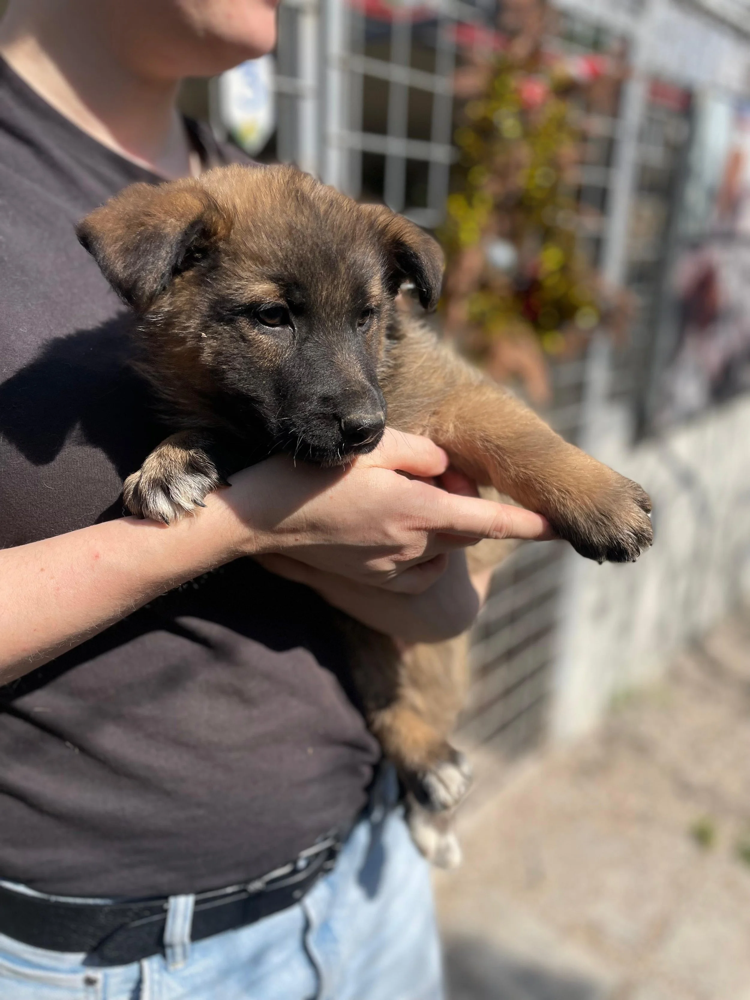 PHOTO-2026-03-11-14-18-28 5.jpg