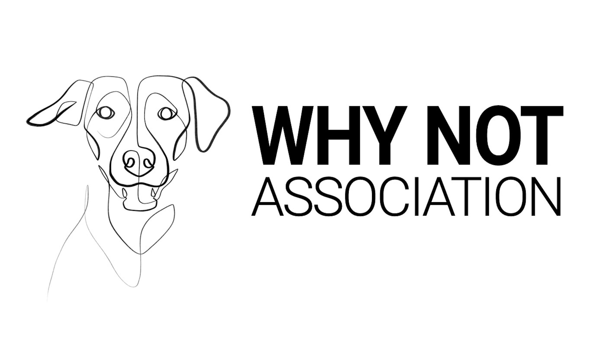 Willkommen zu WHYs Mission!