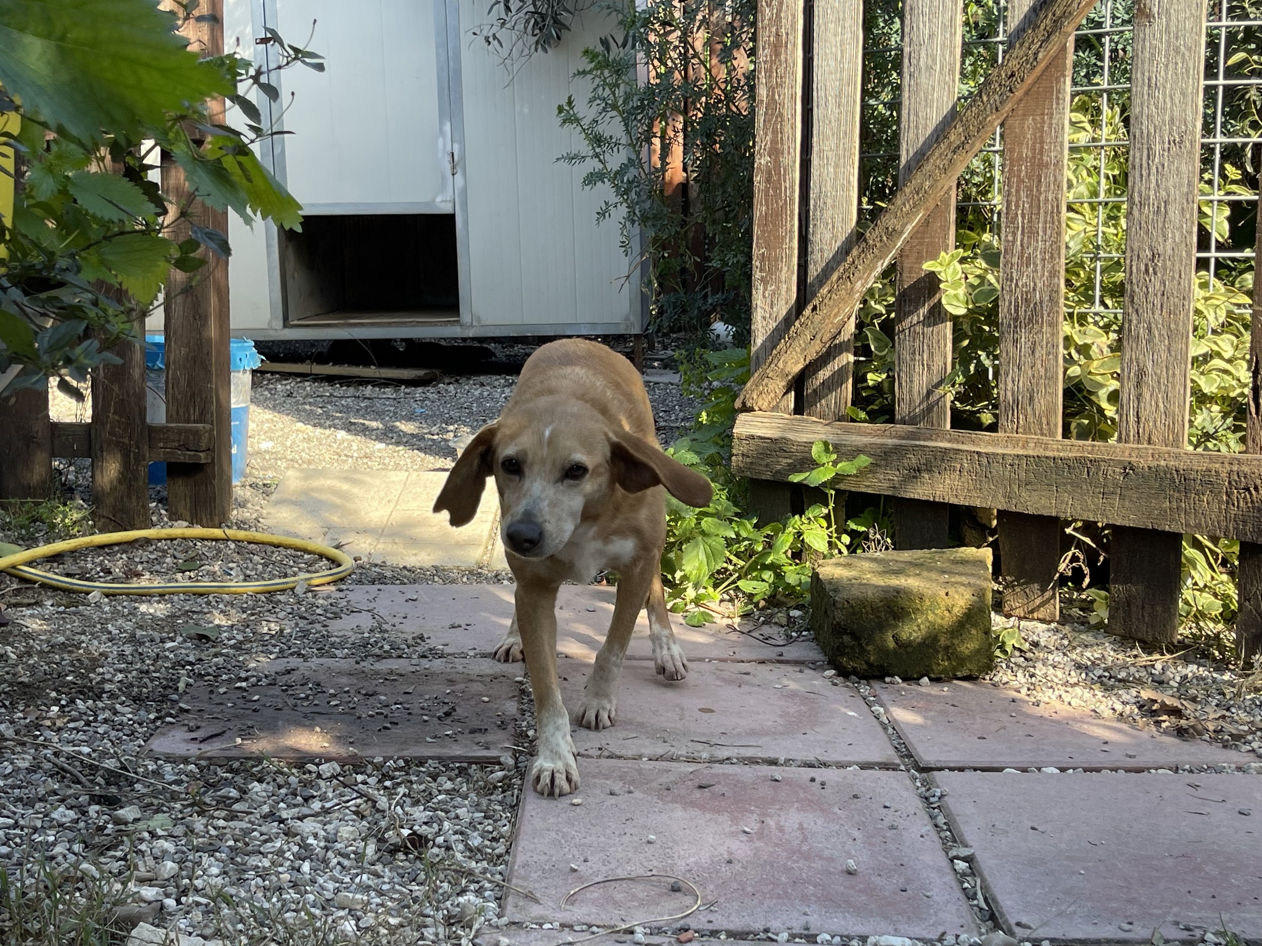 IMG_0047.jpeg