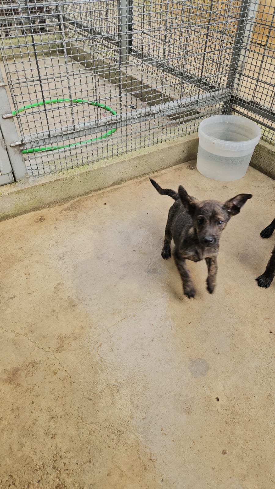 PHOTO-2026-04-09-09-38-10 2.jpg