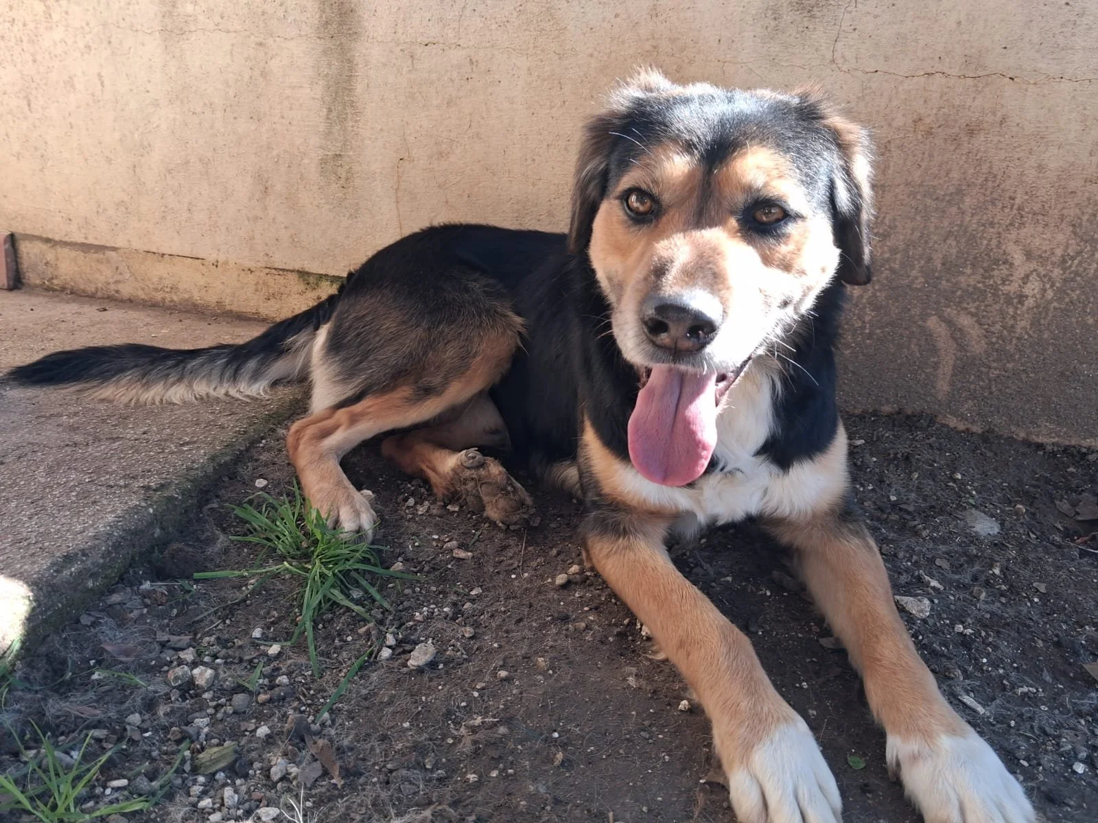 WhatsApp Image 2026-03-19 at 09.53.00 (2).jpeg