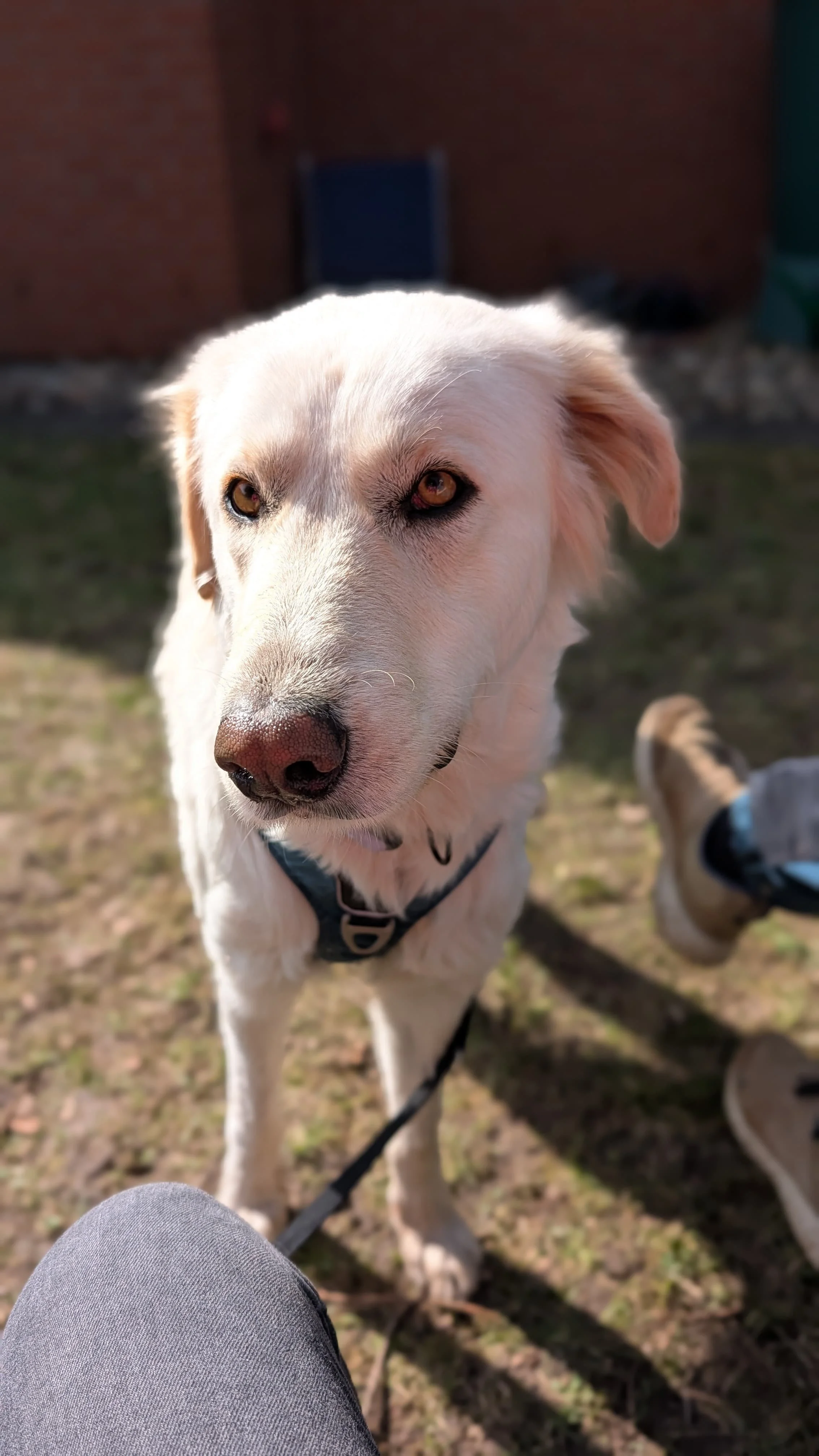 WhatsApp Image 2026-04-08 at 14.38.16 (1).jpeg