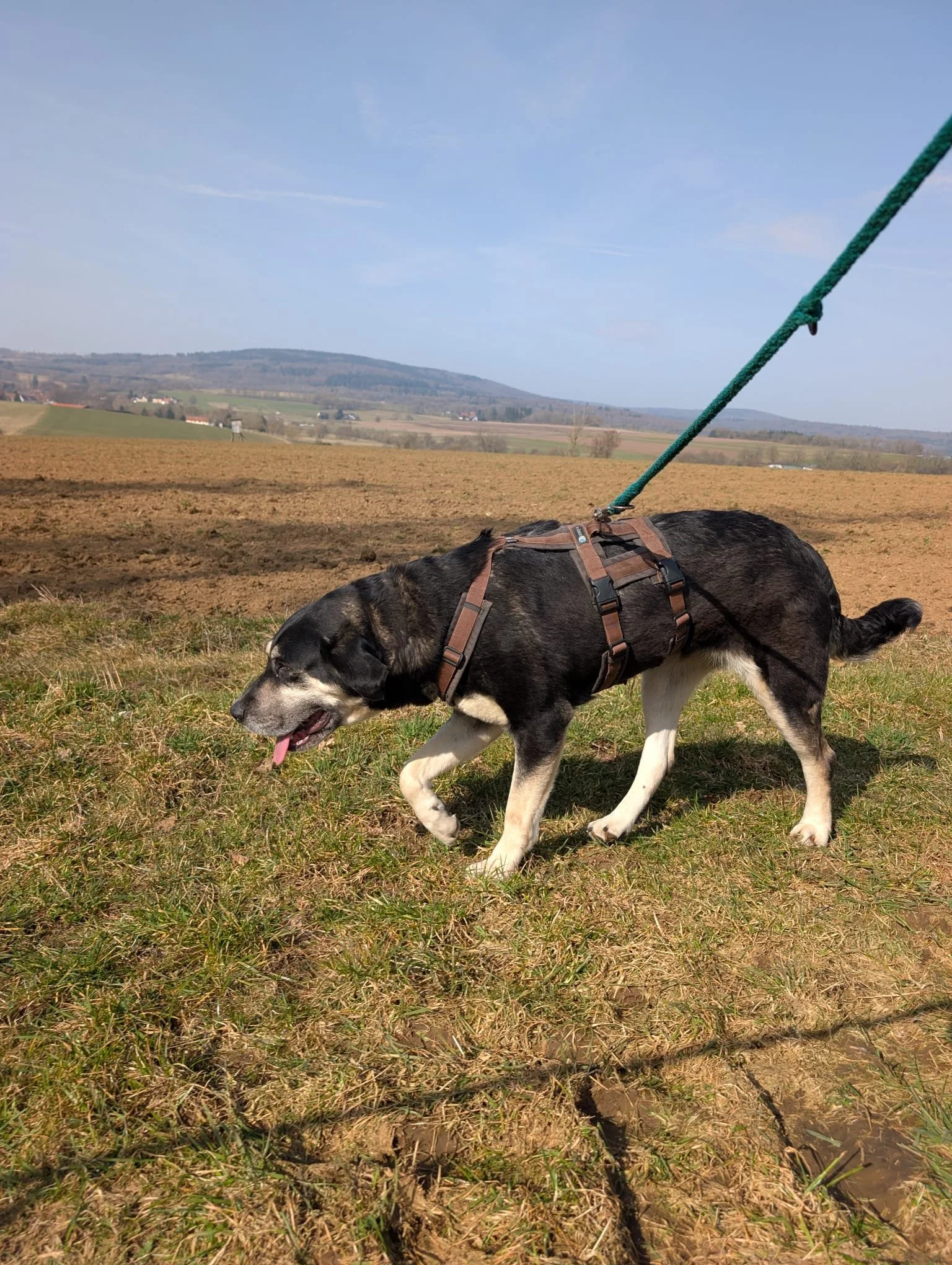 PHOTO-2026-04-14-09-44-12 2.jpg