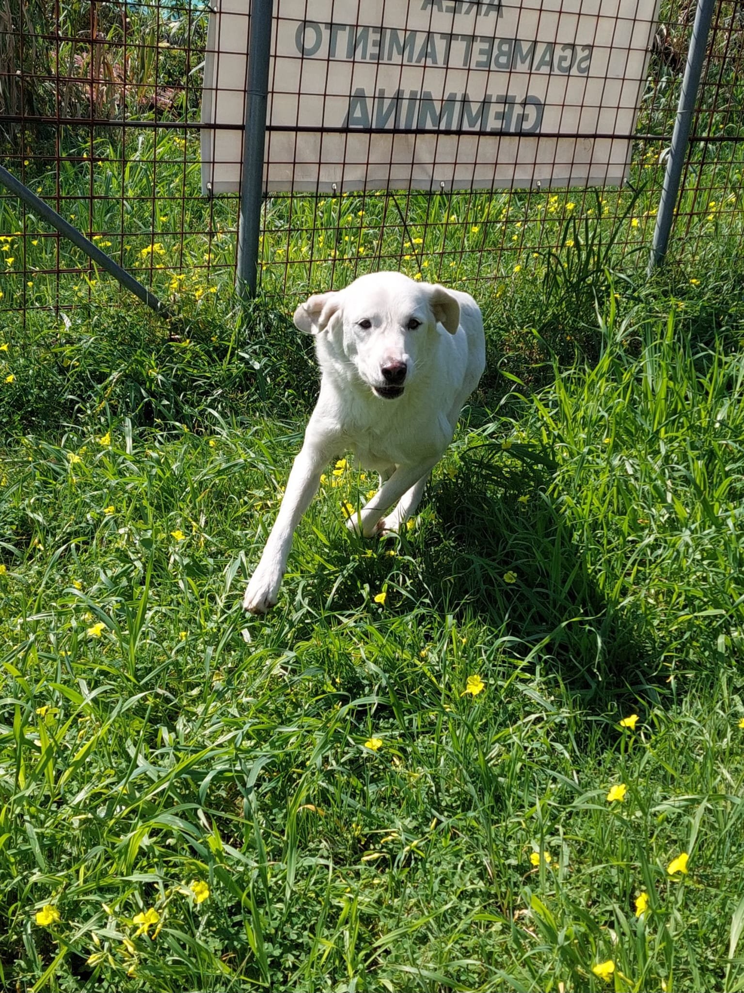 PHOTO-2026-03-15-19-10-44 2.jpg