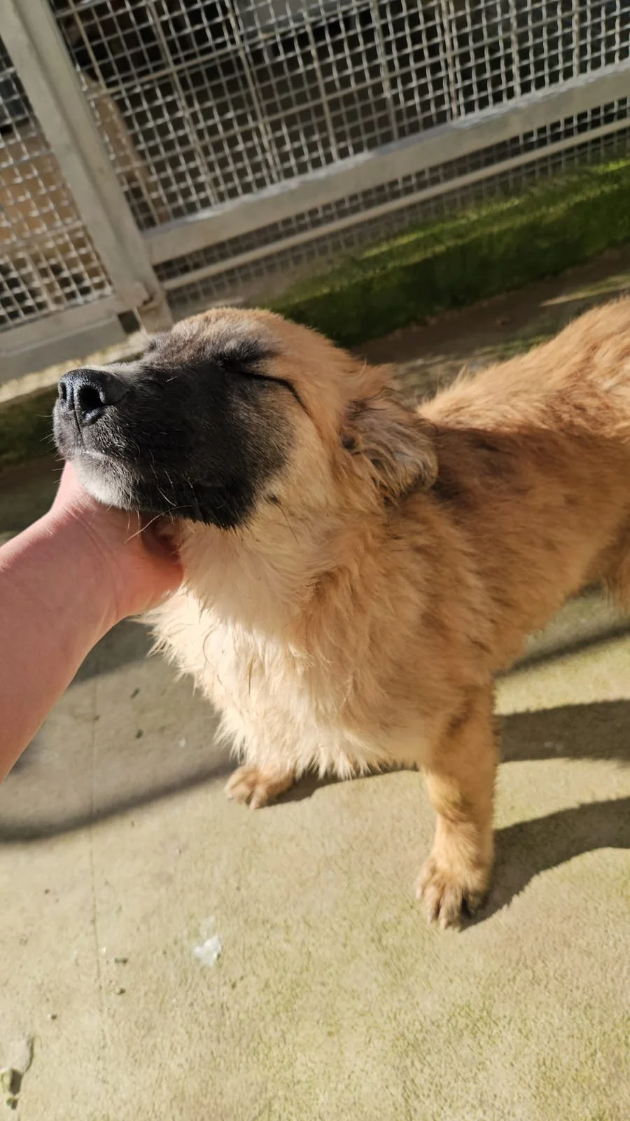 PHOTO-2026-02-02-12-38-09 2.jpg